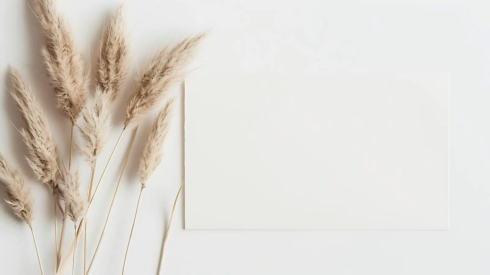 Blank Mockup Paper Sheet with Dried Flowers — free download from Dotvec