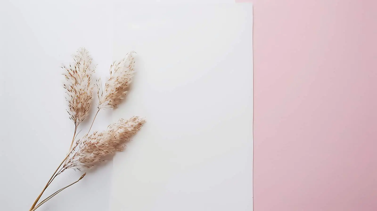 Blank Mockup of Paper Card with Dried Rabbit — free download from Dotvec