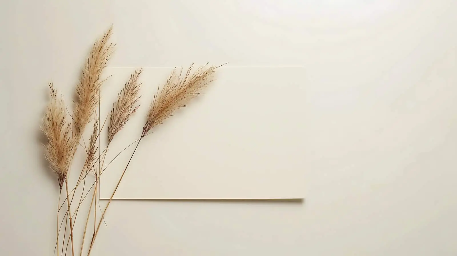Blank Paper Card Mockup with Dried Rabbits — free download from Dotvec
