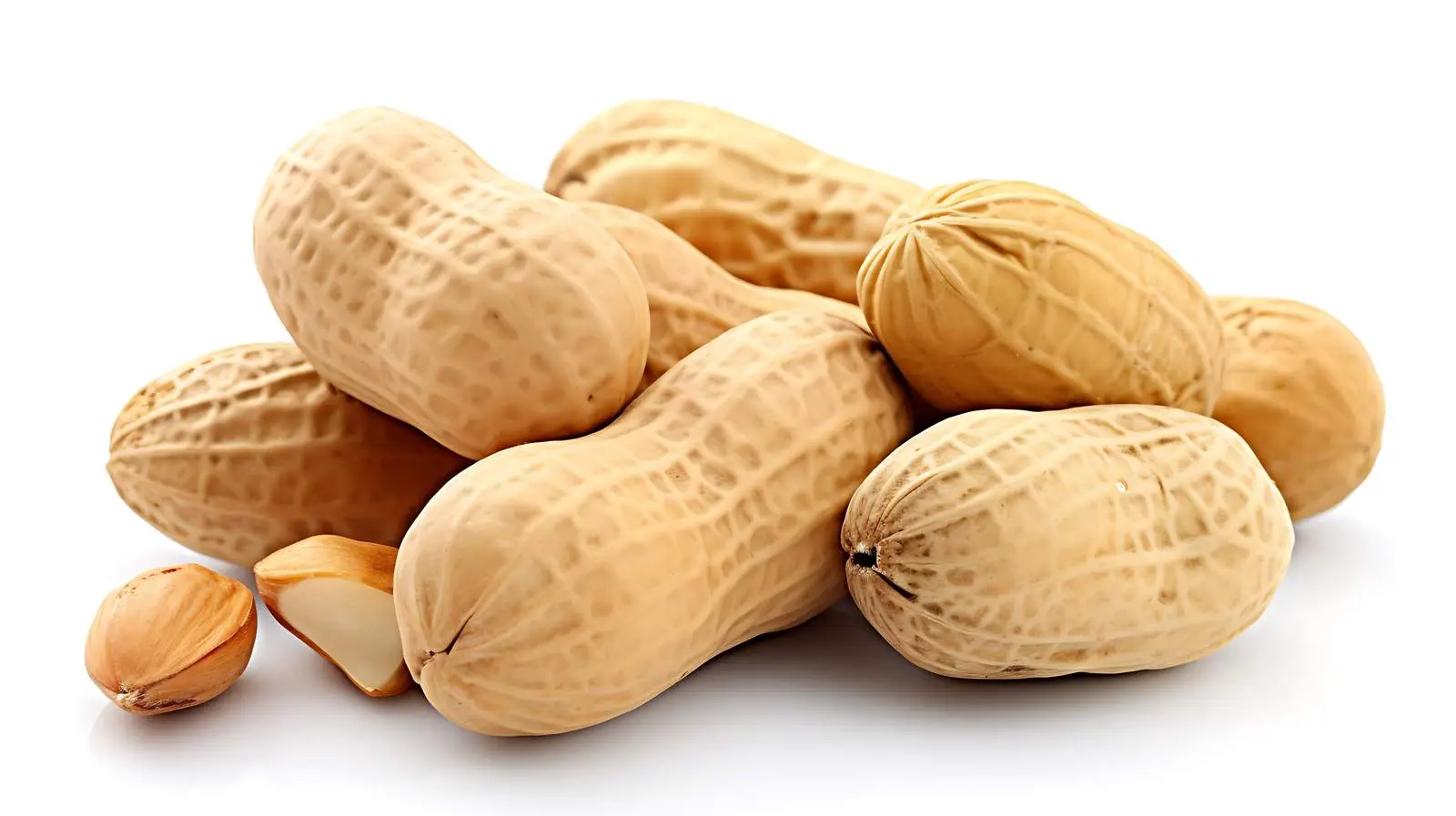 Peanuts Macro Cartoon Vector Illustration — free download from Dotvec