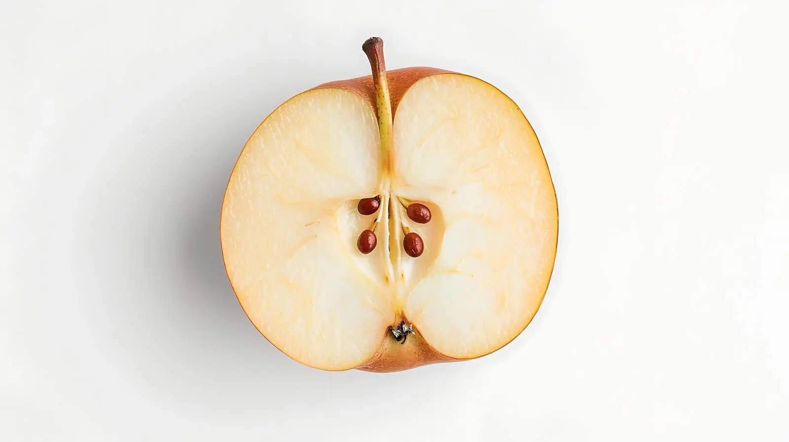 Minimalist Flat Lay of Pear Slice — free download from Dotvec
