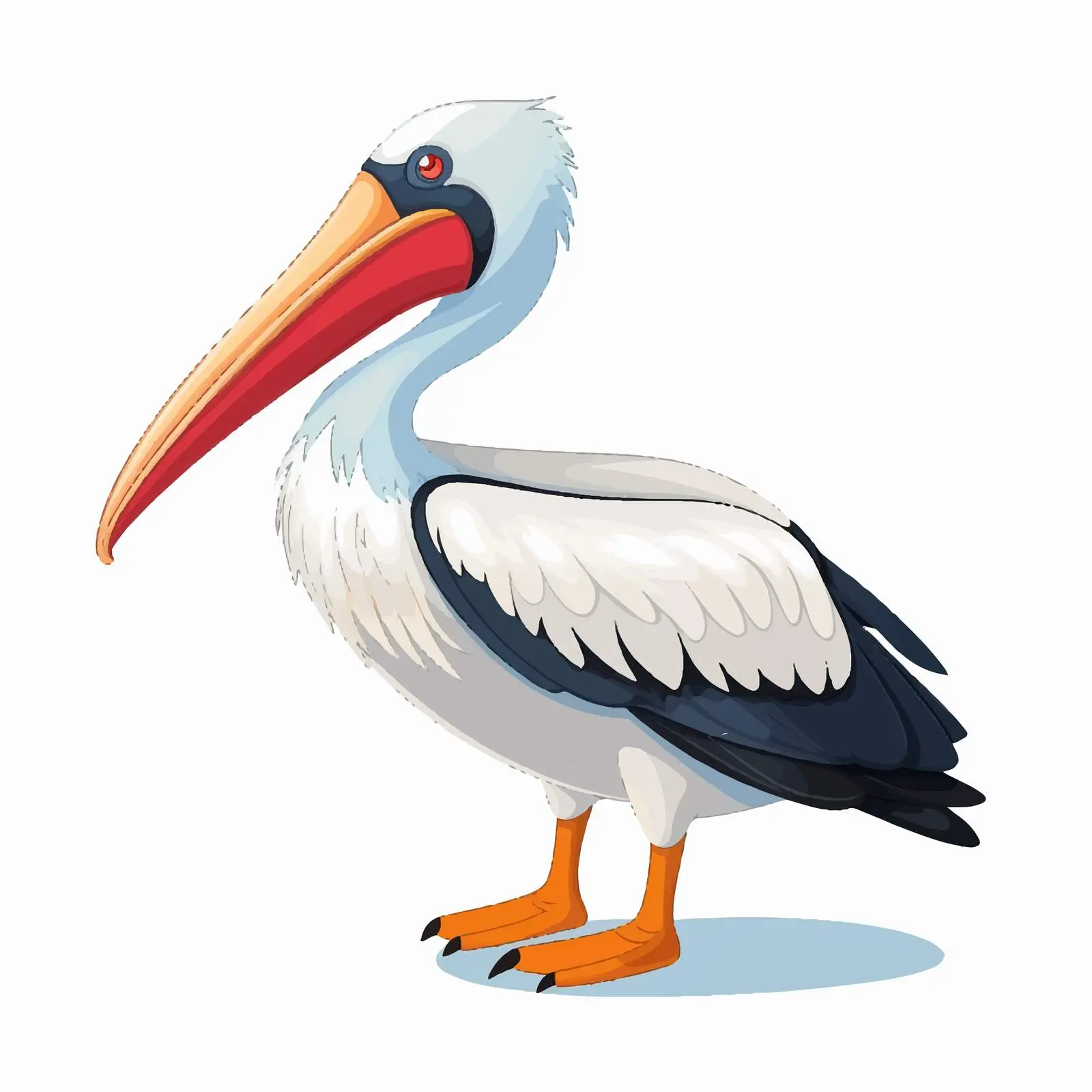 Cute Pelican Cartoon Vector Illustration – free beak image from Dotvec