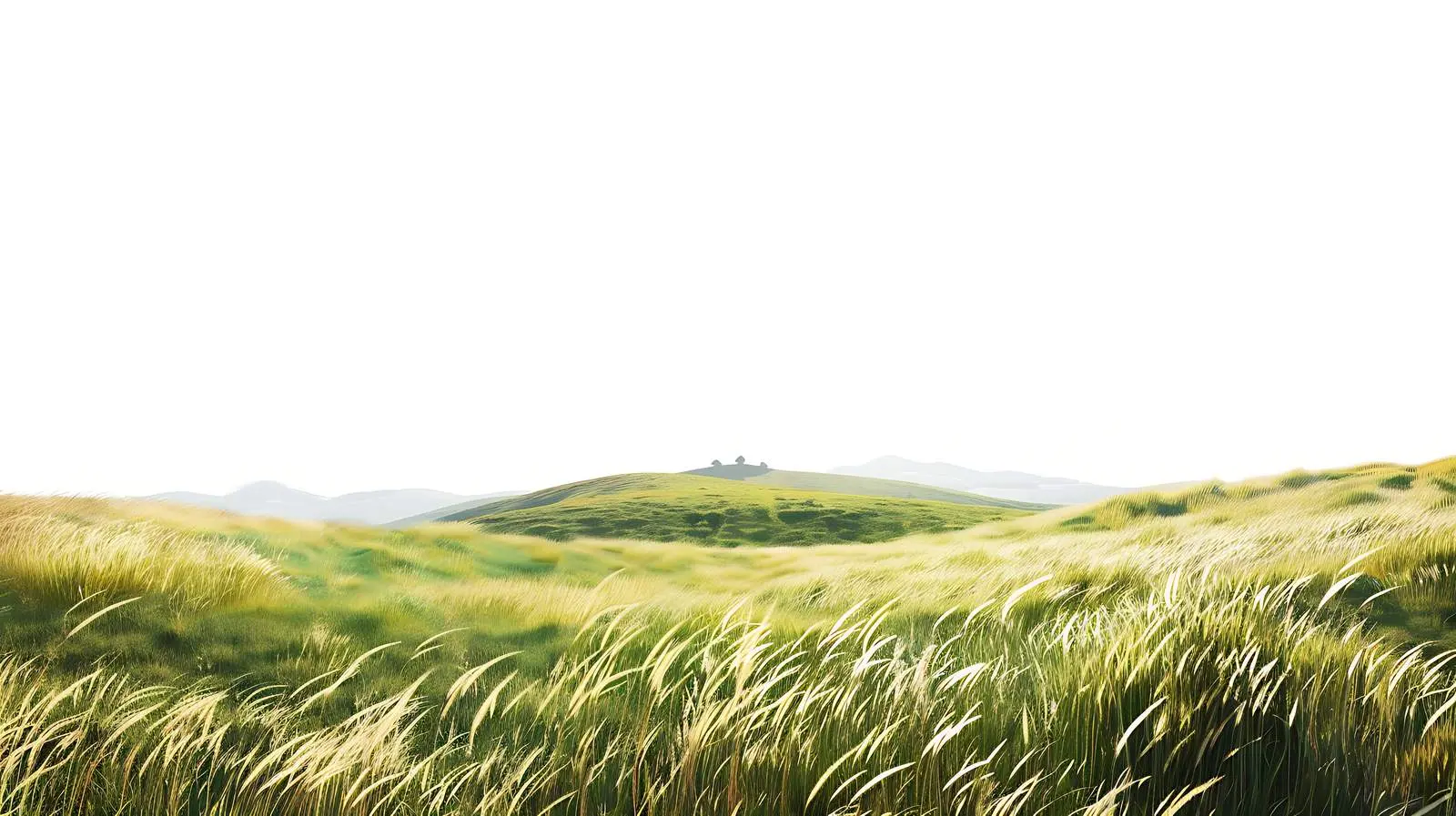 Scenic Summer View of Field and Mountain – free viewpoint image from Dotvec