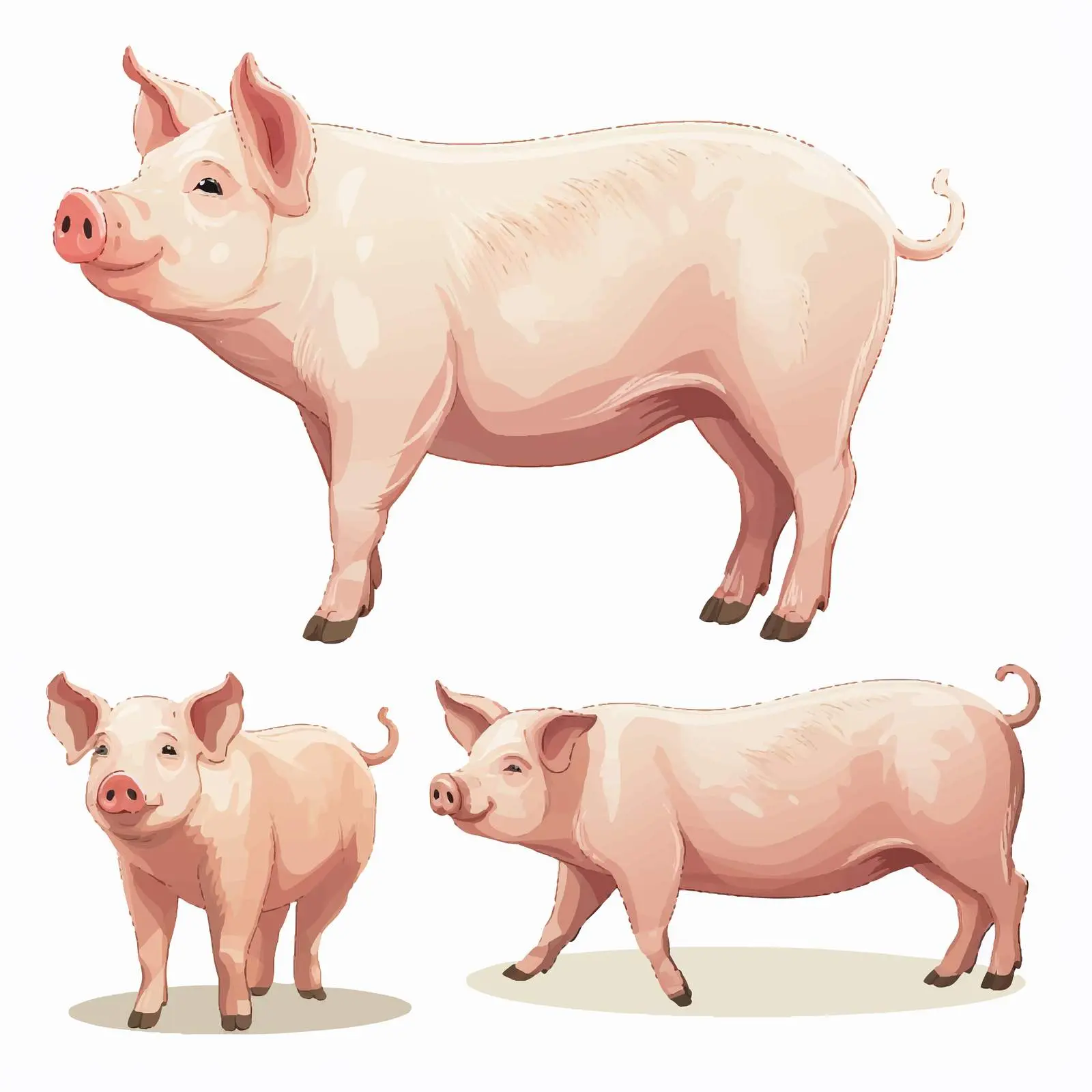 Pig Line Vector Illustration on White Background — free download from Dotvec