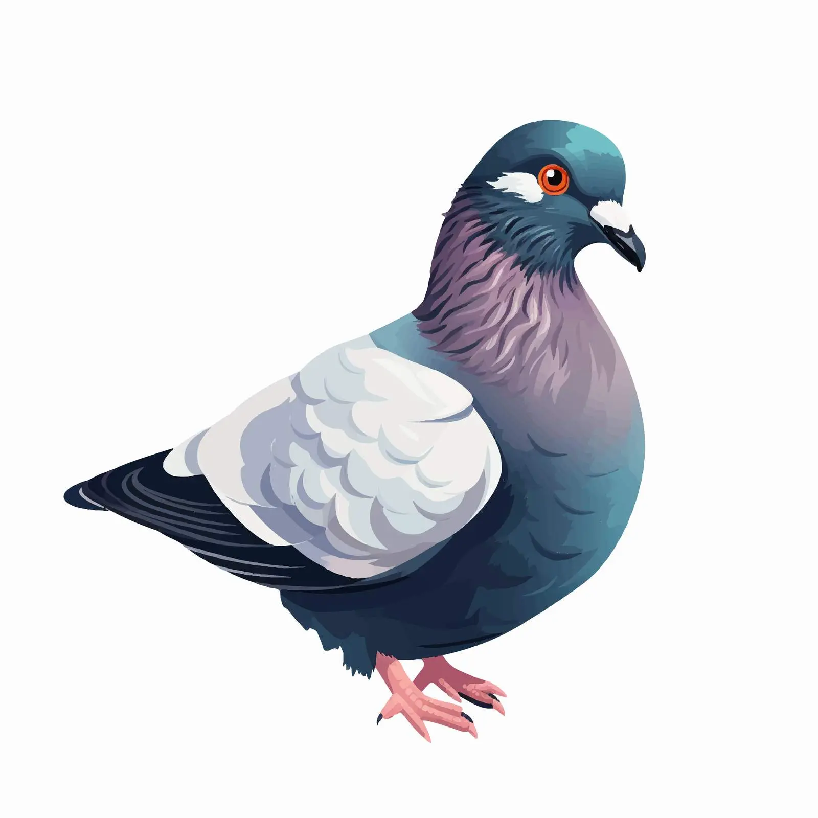 Isolated Pigeon Vector Illustration on White Background – free vector png image from Dotvec