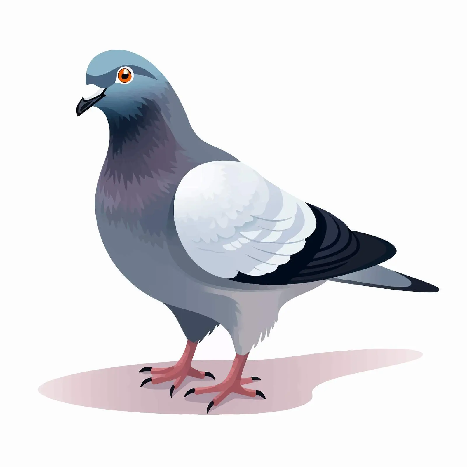 Pigeon Vector Illustration on White Background — free download from Dotvec