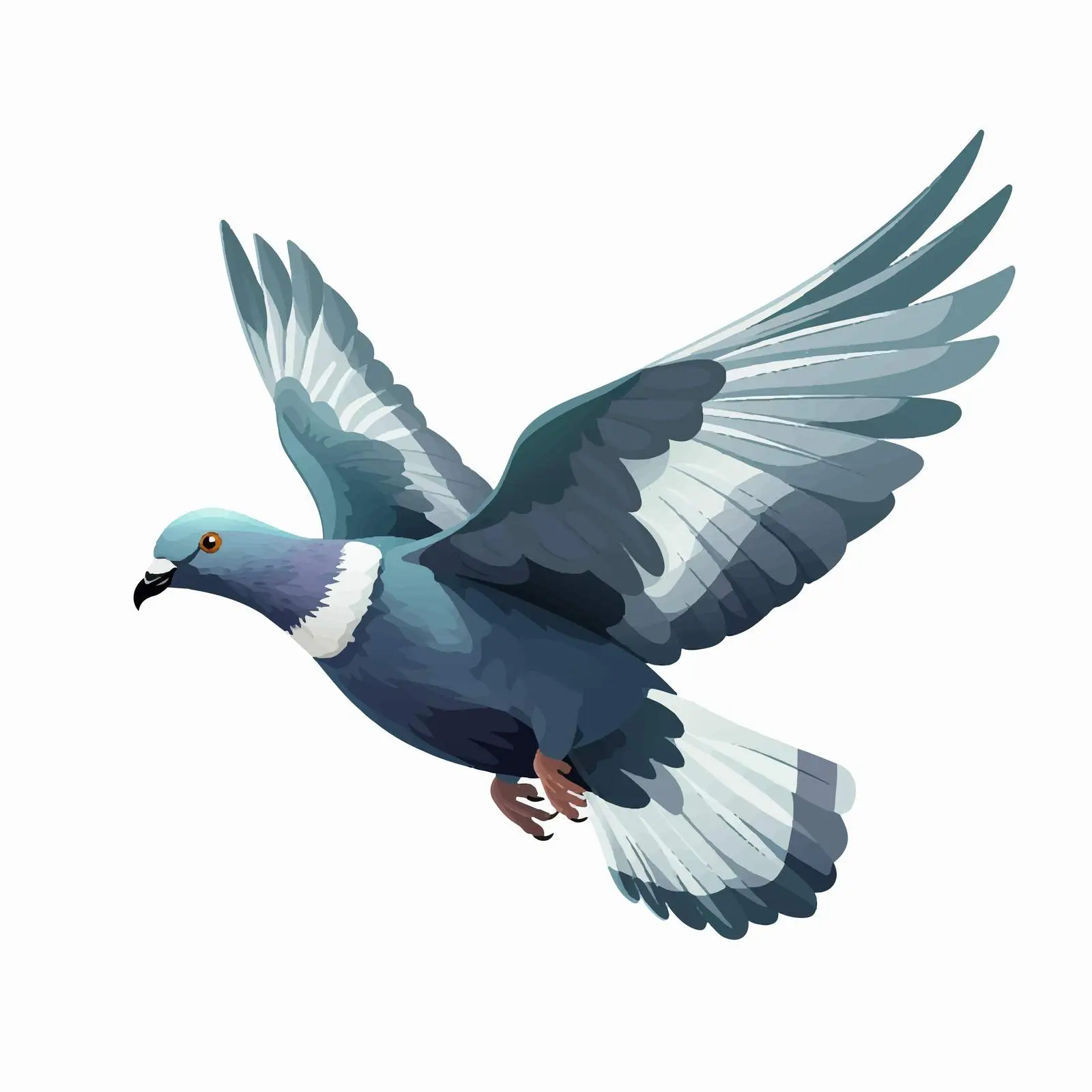 Top View Pigeon Vector Illustration on White Background — free download from Dotvec