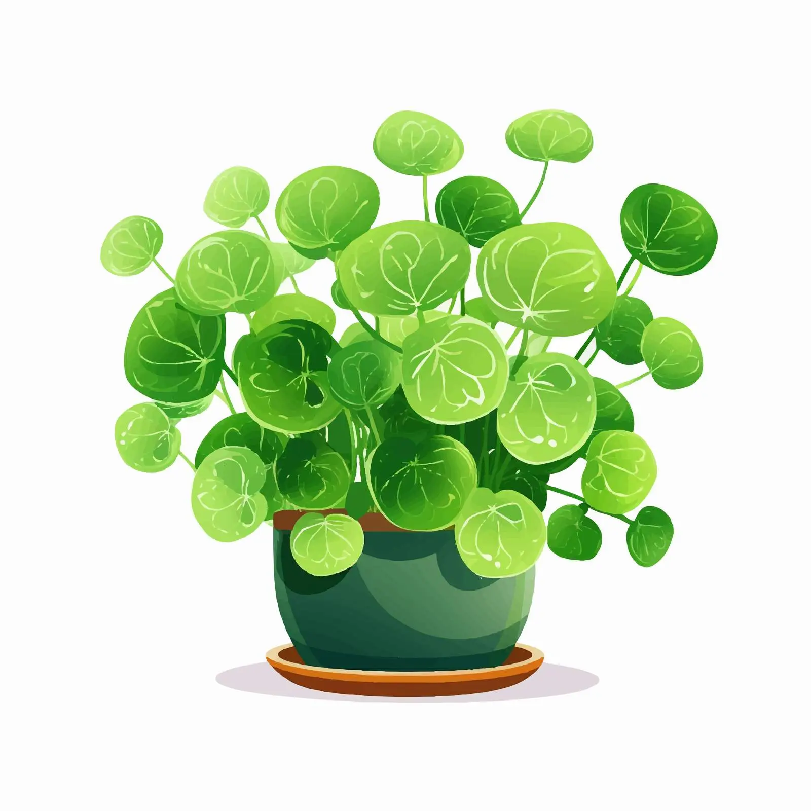 Potted Pilea Peperomioides - Chinese Money Plant — free download from Dotvec