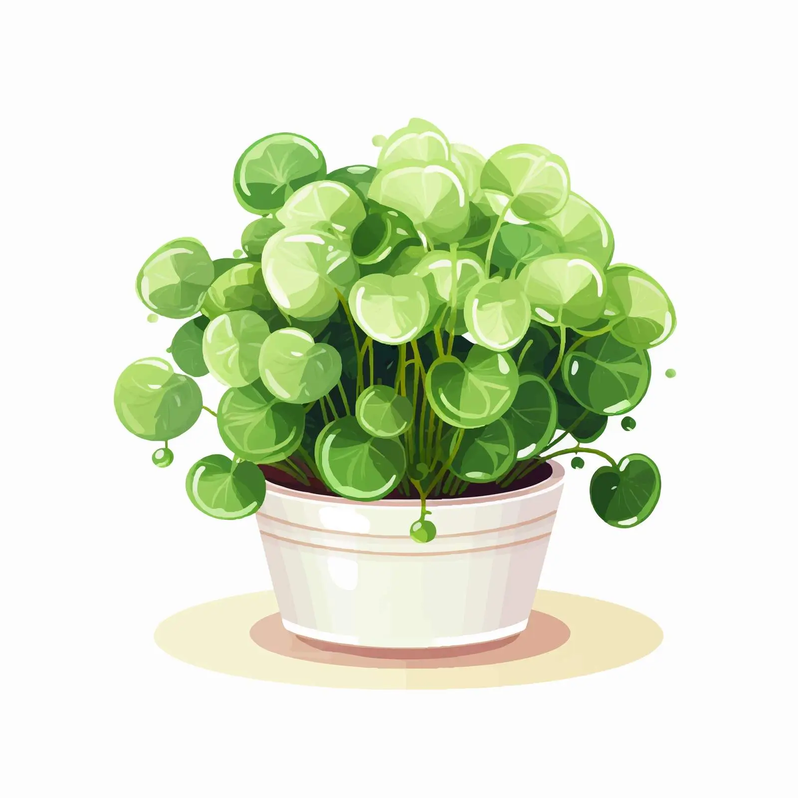 Potted Chinese Money Plant Vector Illustration — free download from Dotvec