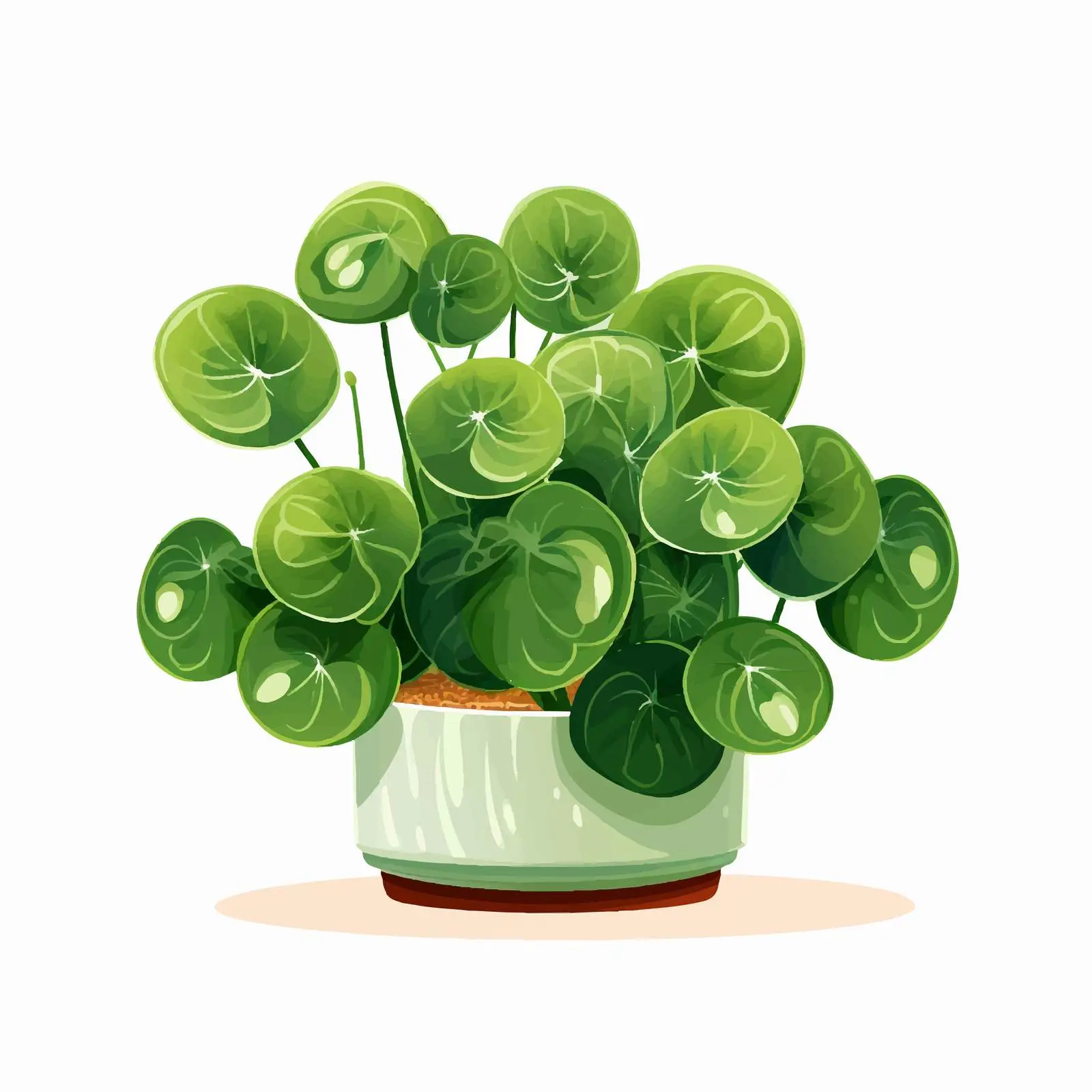 Potted Chinese Money Plant Illustration — free download from Dotvec