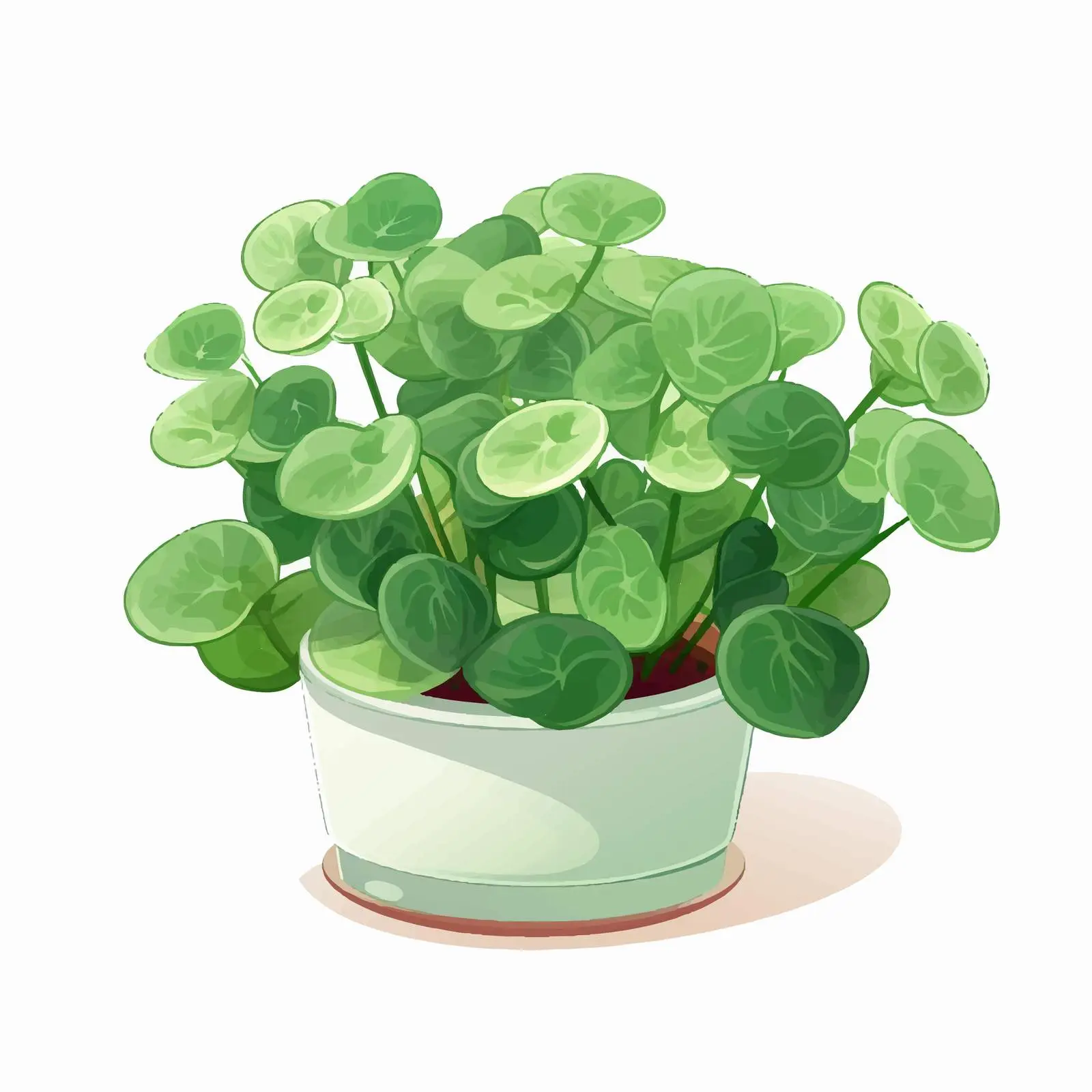 Potted Pilea Peperomioides Plant Illustration — free download from Dotvec