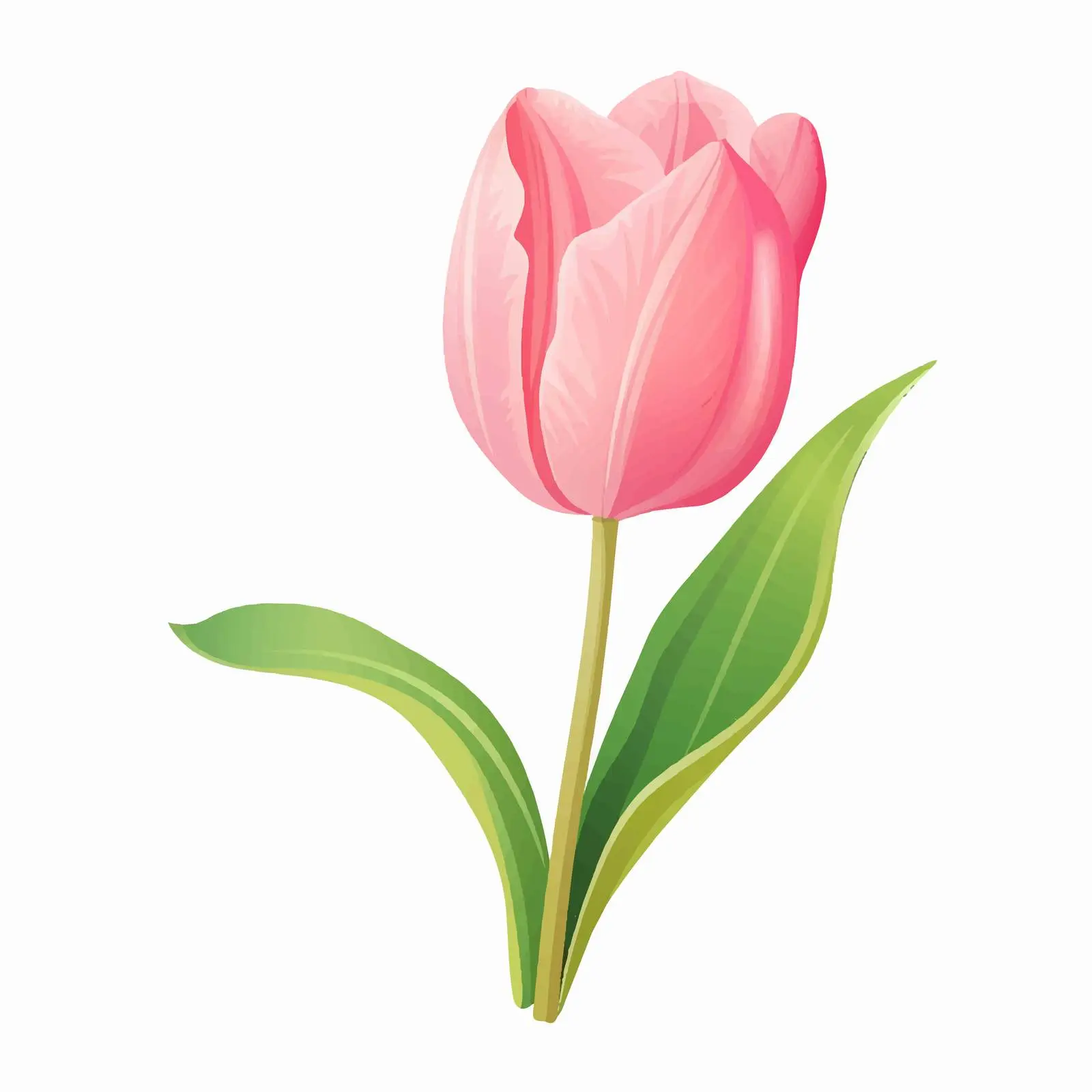Pink Tulip with Green Leaves Vector Illustration — free download from Dotvec