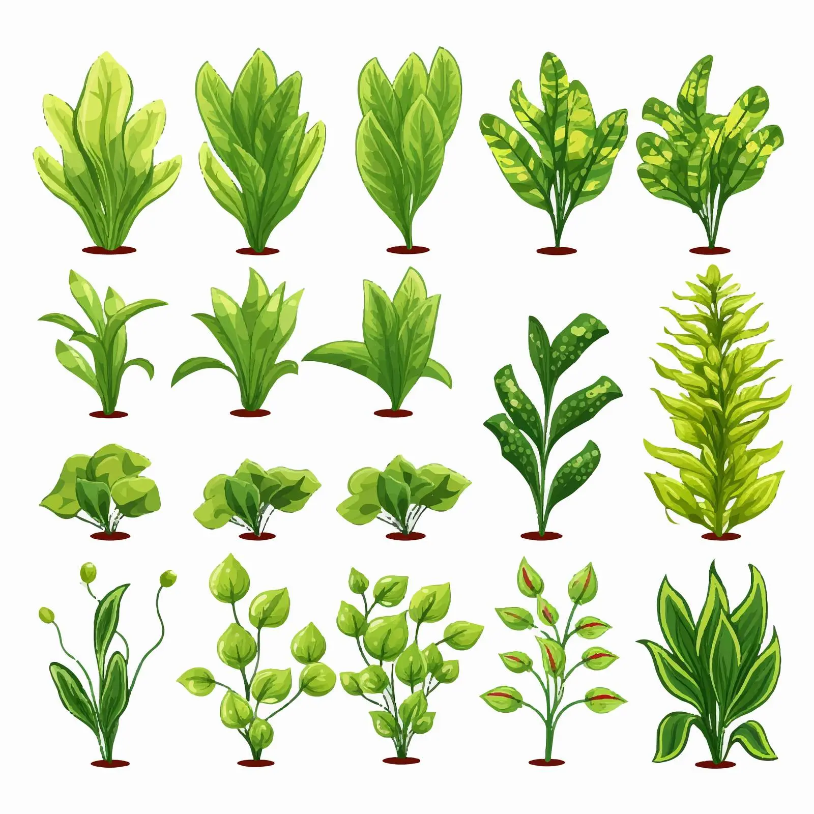 Isolated Line Art Plant Vector Illustration — free download from Dotvec
