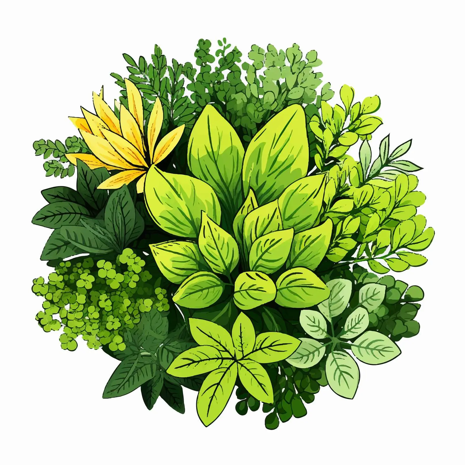 Line Art Plant Illustration on White Background — free download from Dotvec