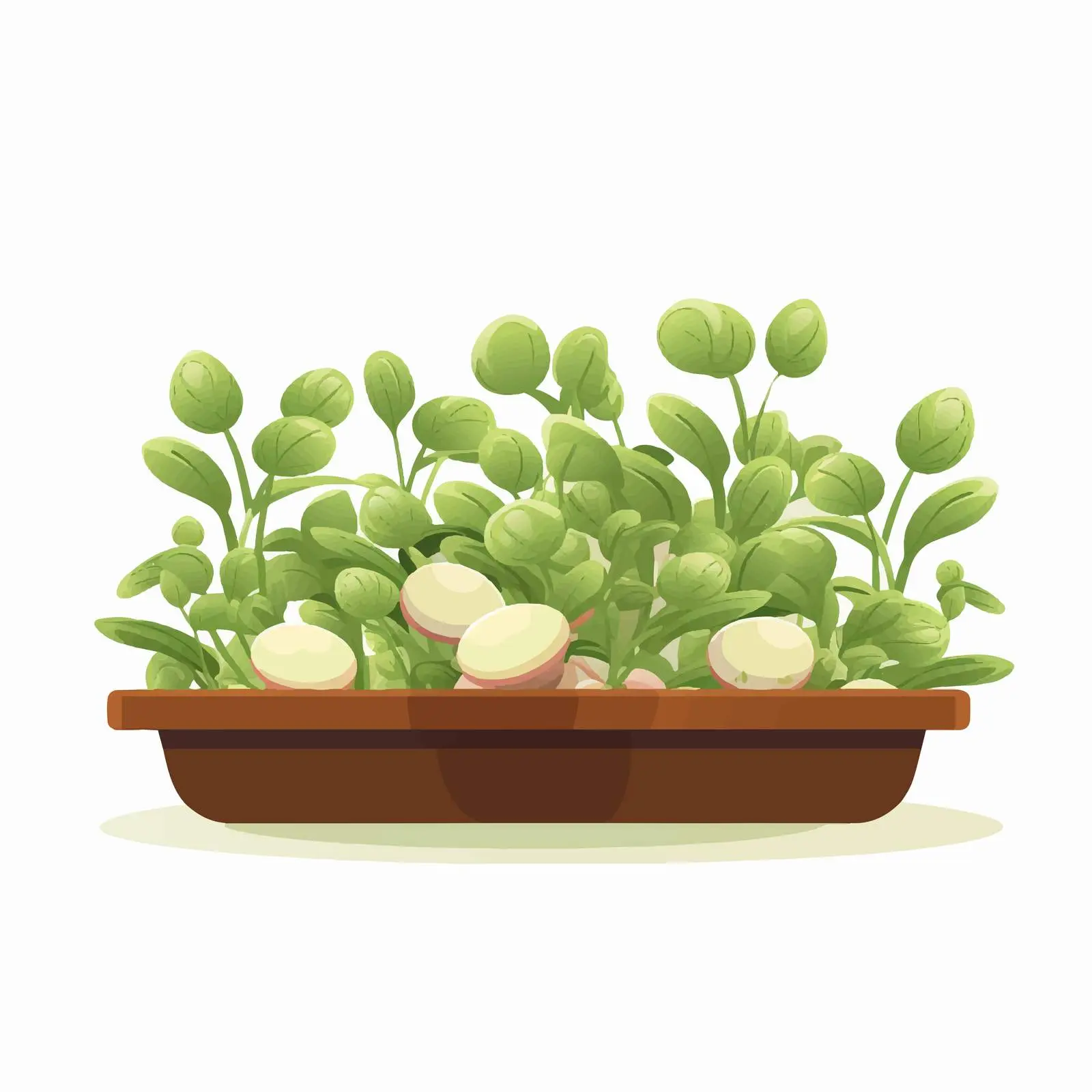 Sprouting Plants in Eggshell Vector Illustration — free download from Dotvec