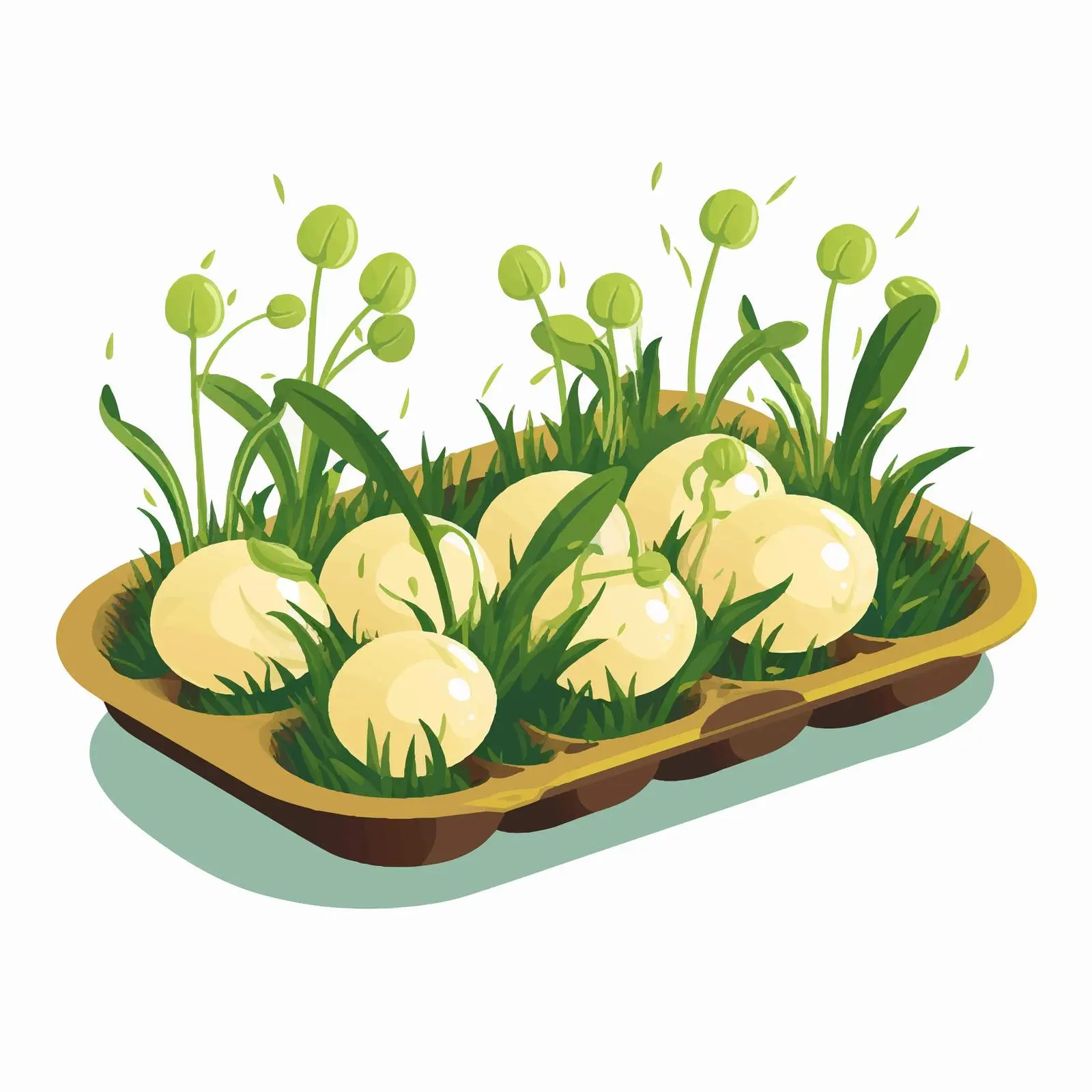 Eggshell Plant Sprouts Vector Illustration — free download from Dotvec