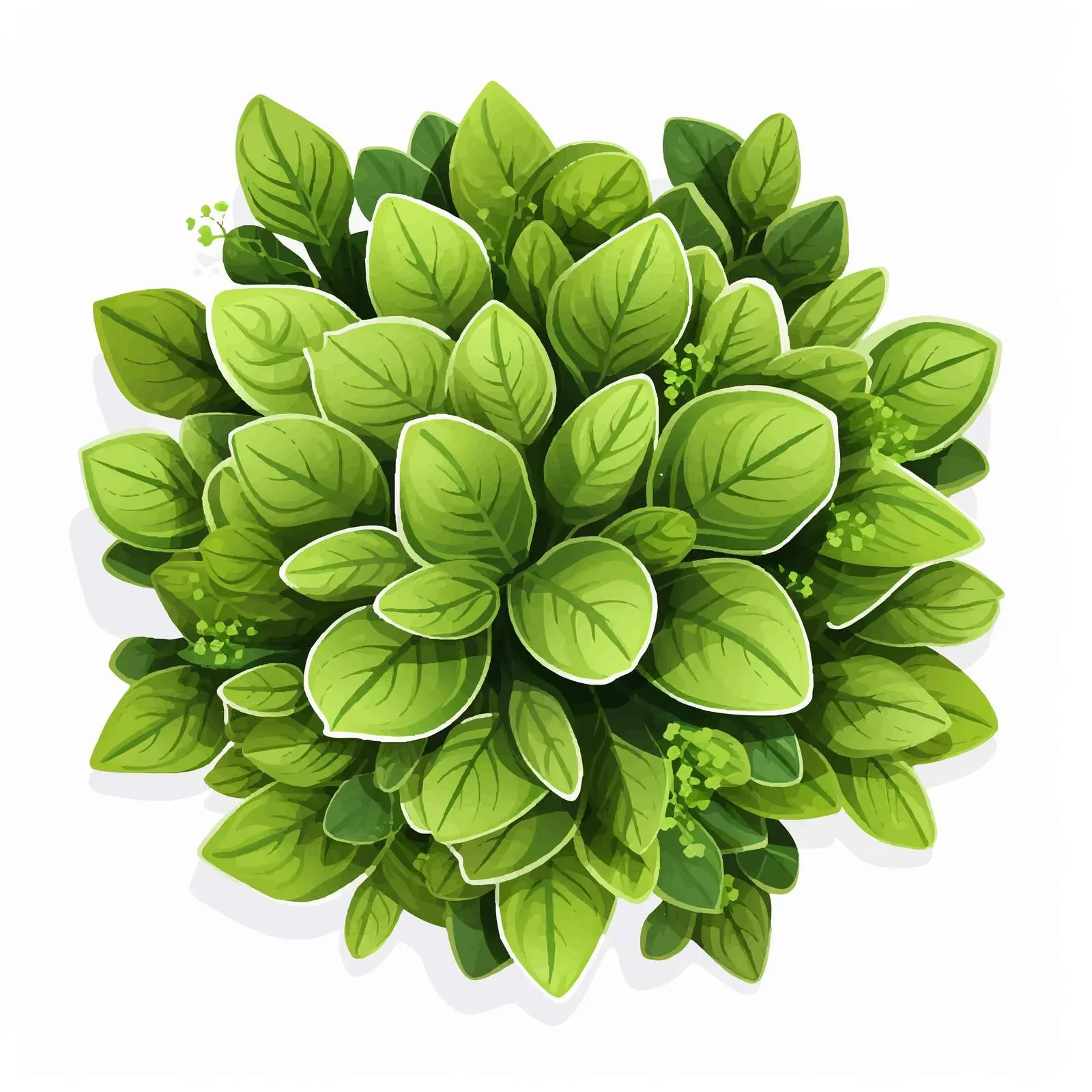 Top View Plant Vector Illustration on White Background — free download from Dotvec