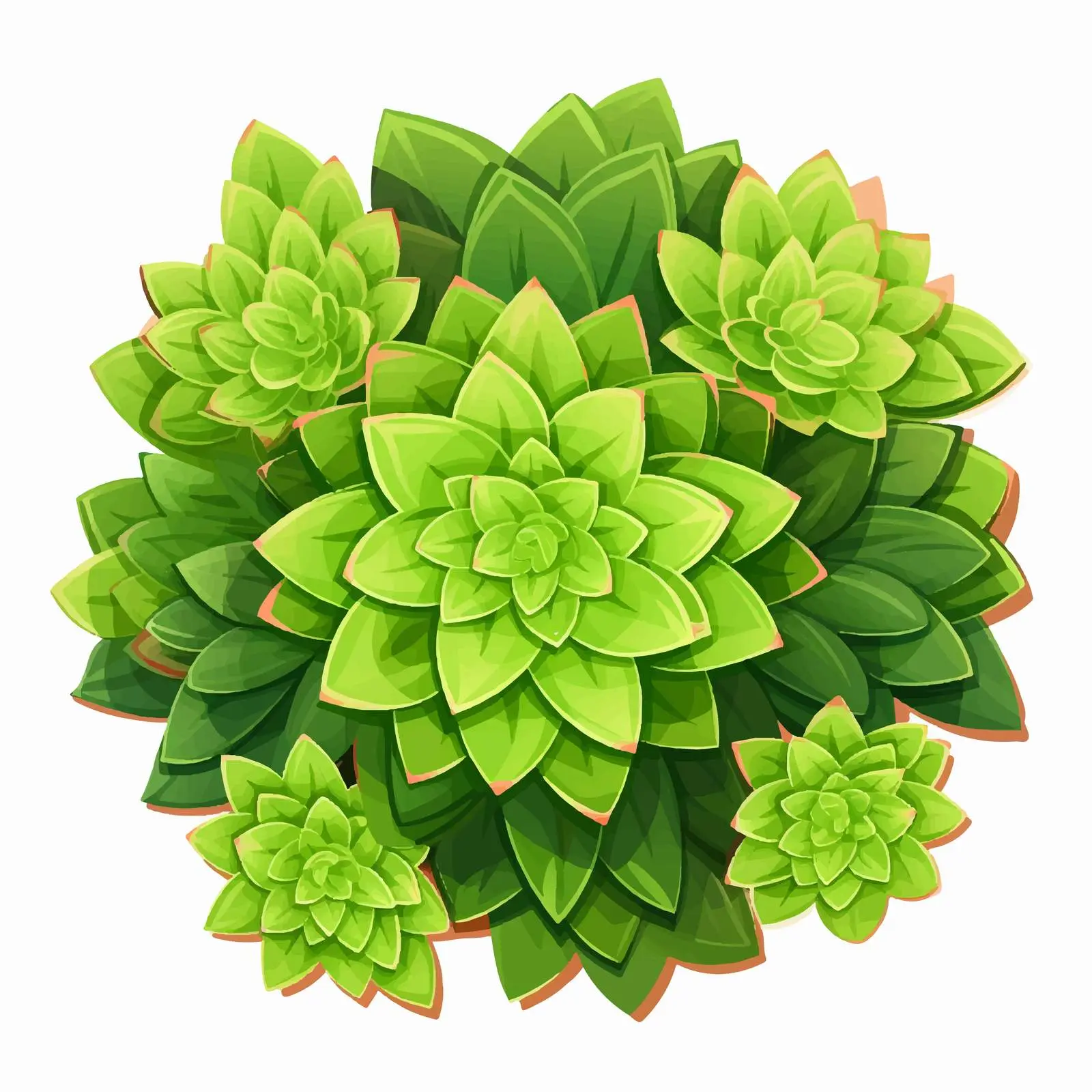 Top View Plant Vector Illustration on White Background — free download from Dotvec