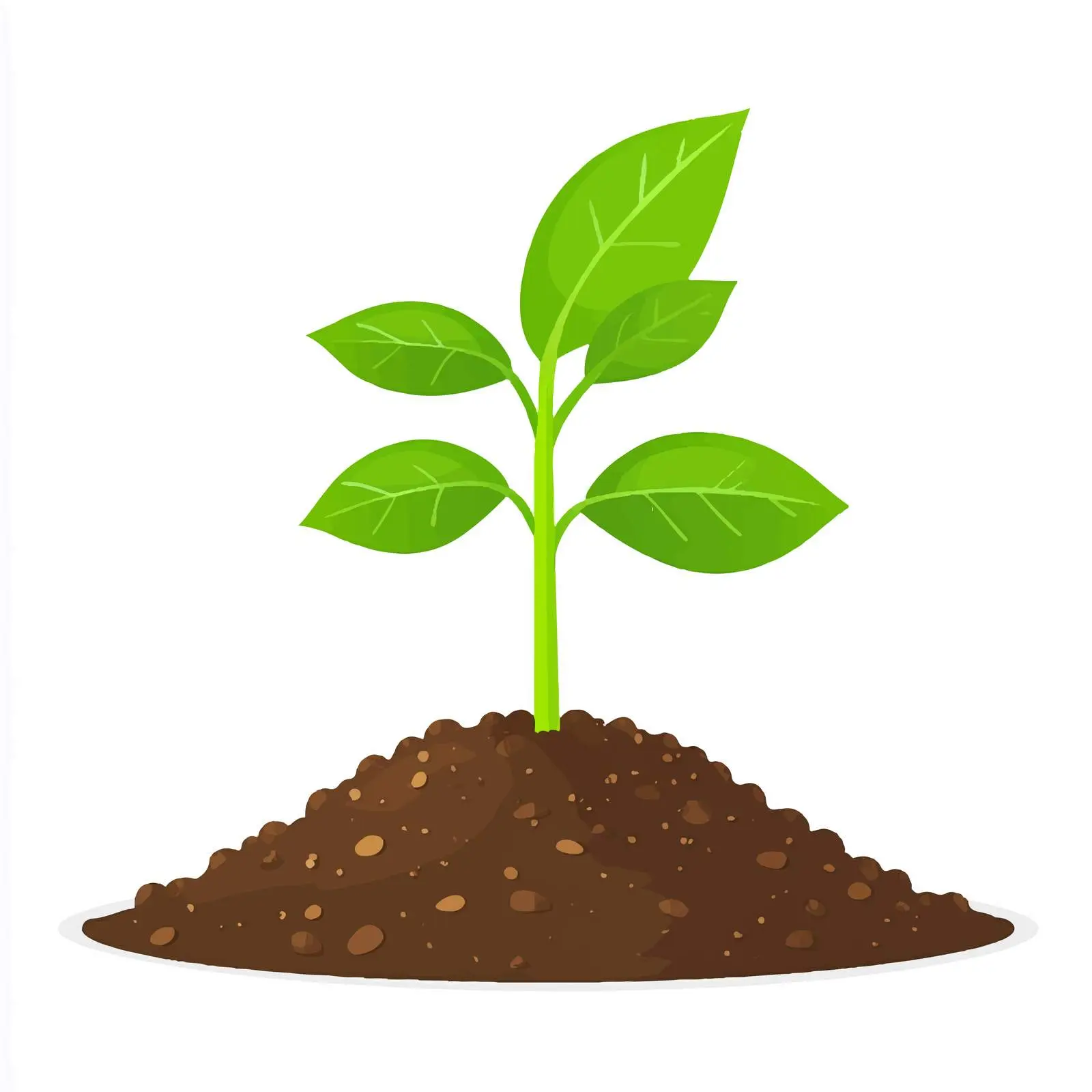 Planting Equipment Sprouting in Centered Design — free download from Dotvec