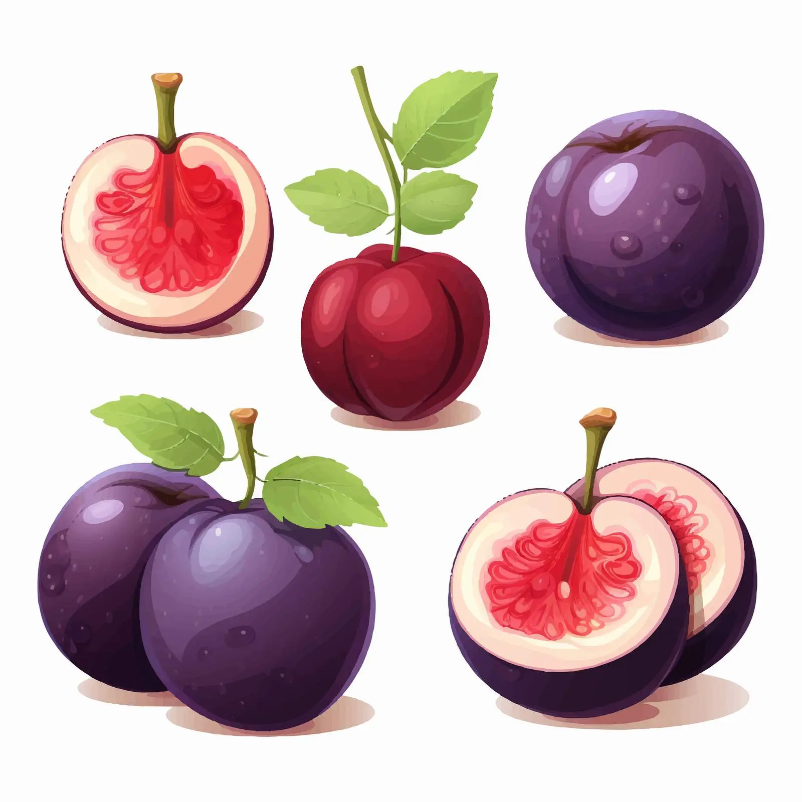 Plum Half And Whole Berry Cross Section — free download from Dotvec