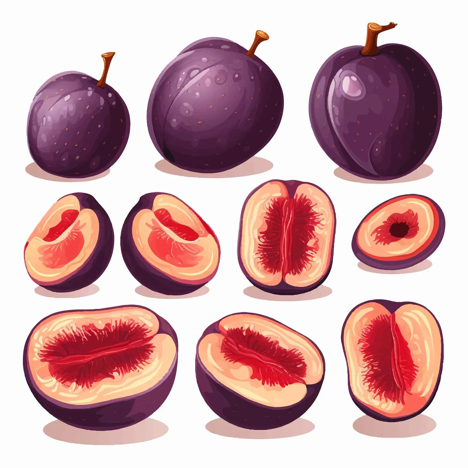 Plum Fruit Cross Section and Whole Berry — free download from Dotvec