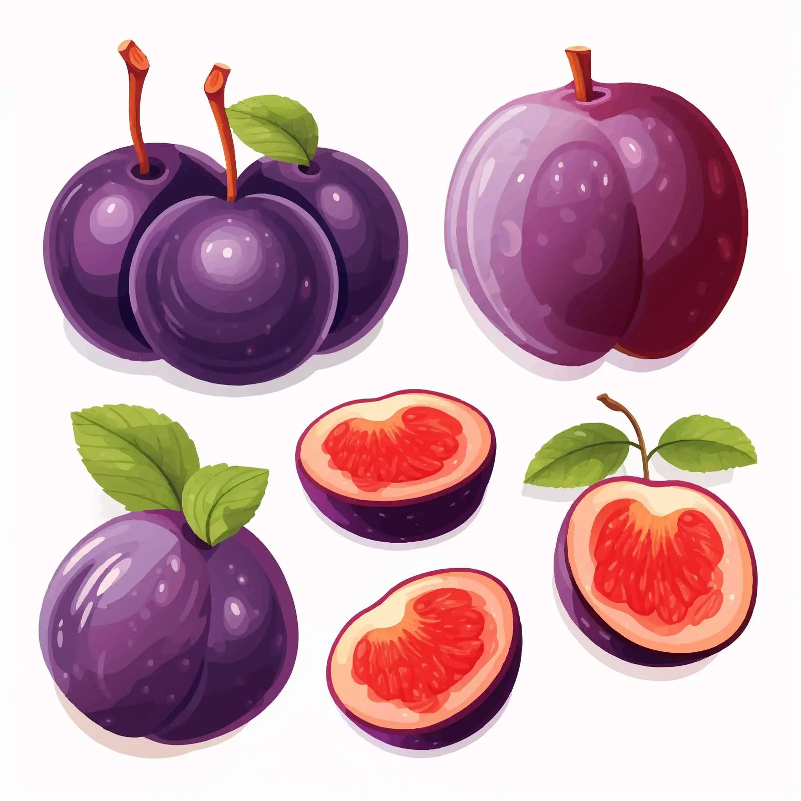 Plum Fruit Cross Section and Whole Berry — free download from Dotvec