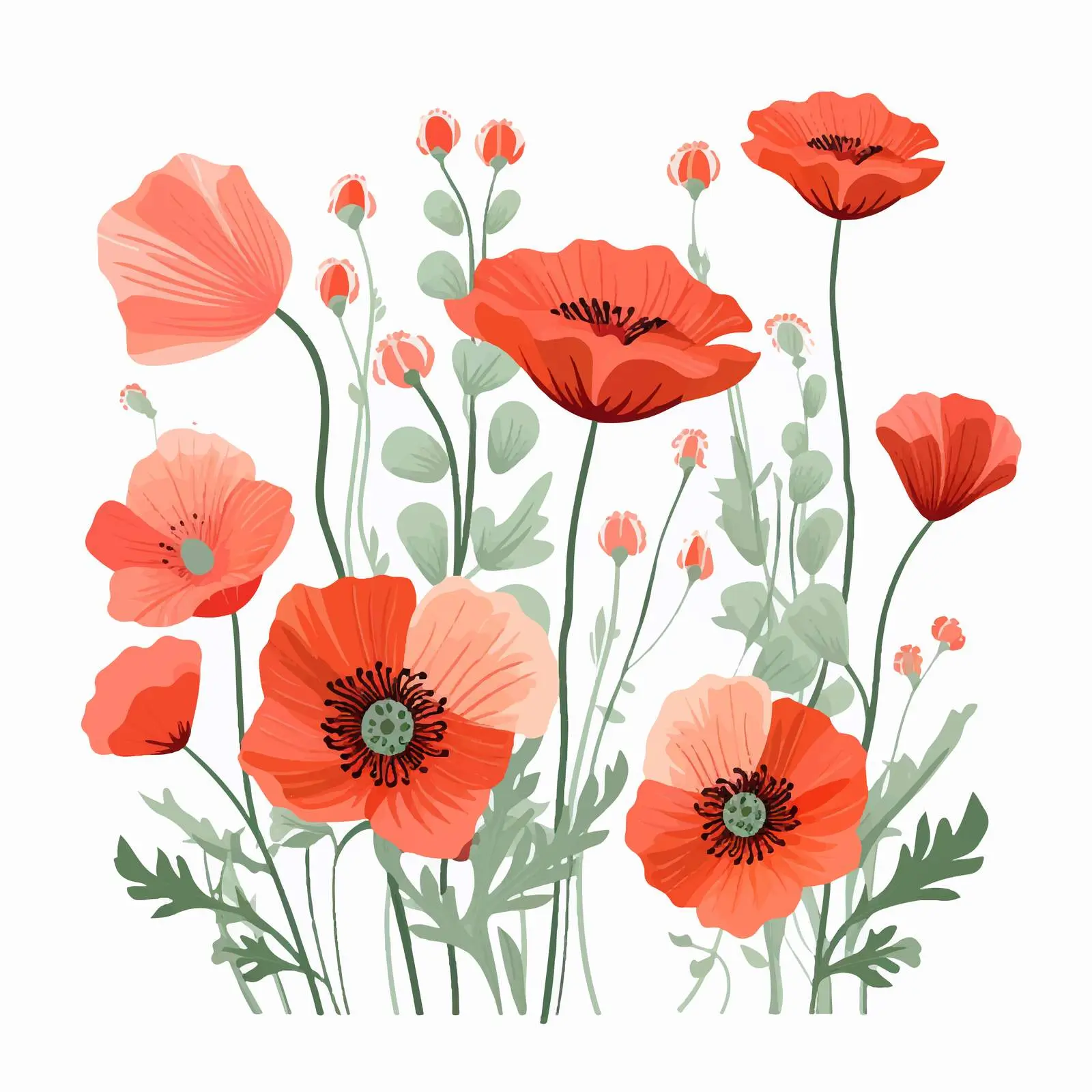 Delicate Poppy Flowers in Summer Blooms — free download from Dotvec