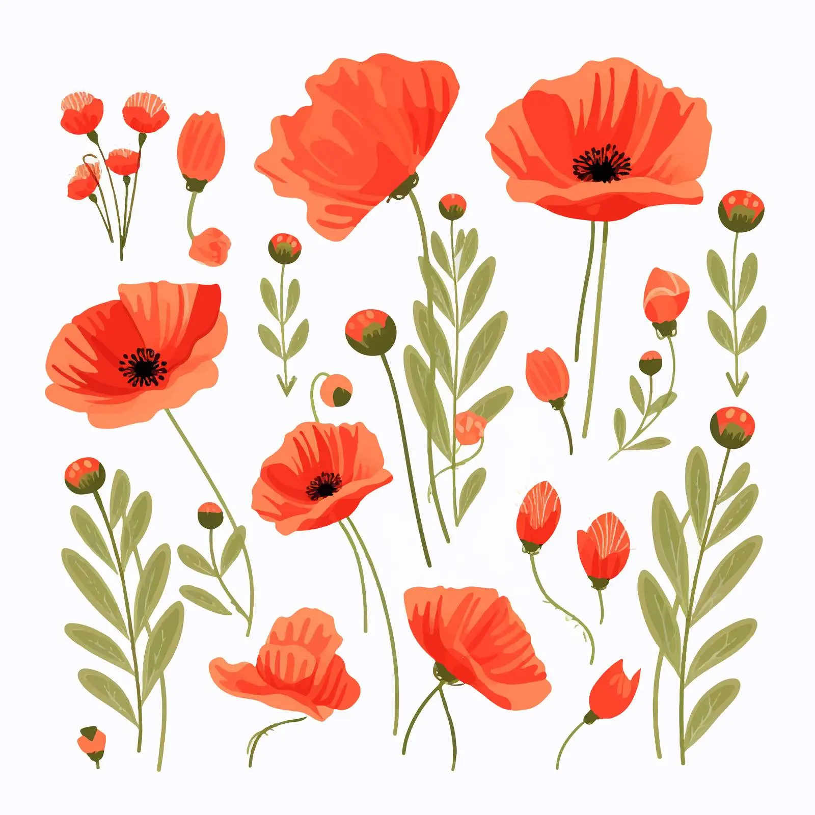 Delicate Poppy Flowers Summer Blooms Vector — free download from Dotvec