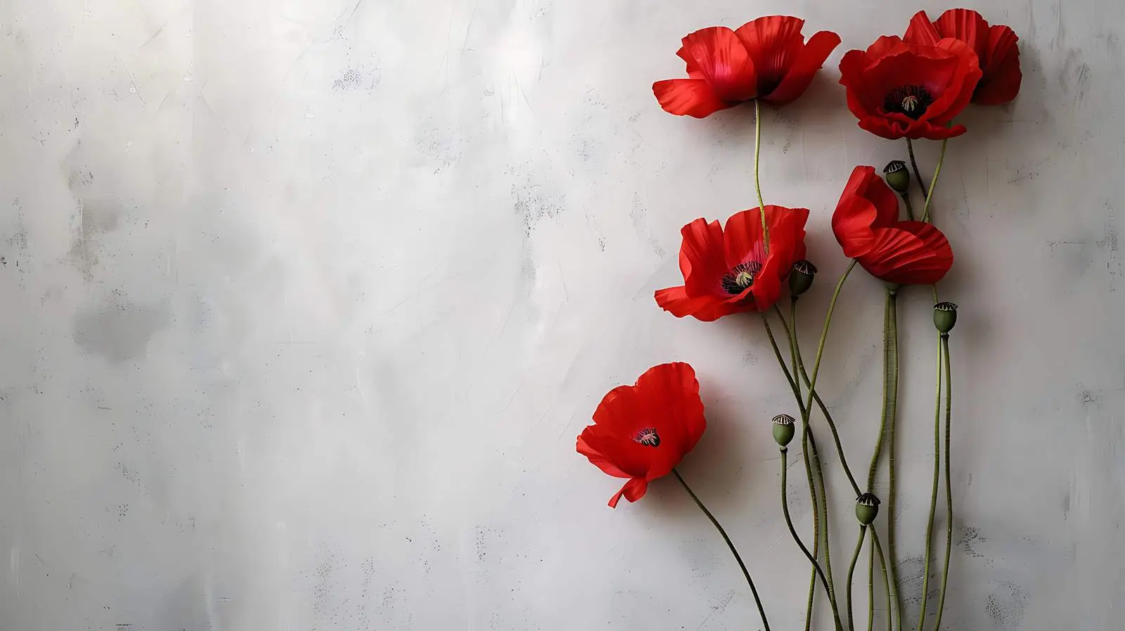 Poppy Stems Against Neutral Grey Wall Background — free download from Dotvec