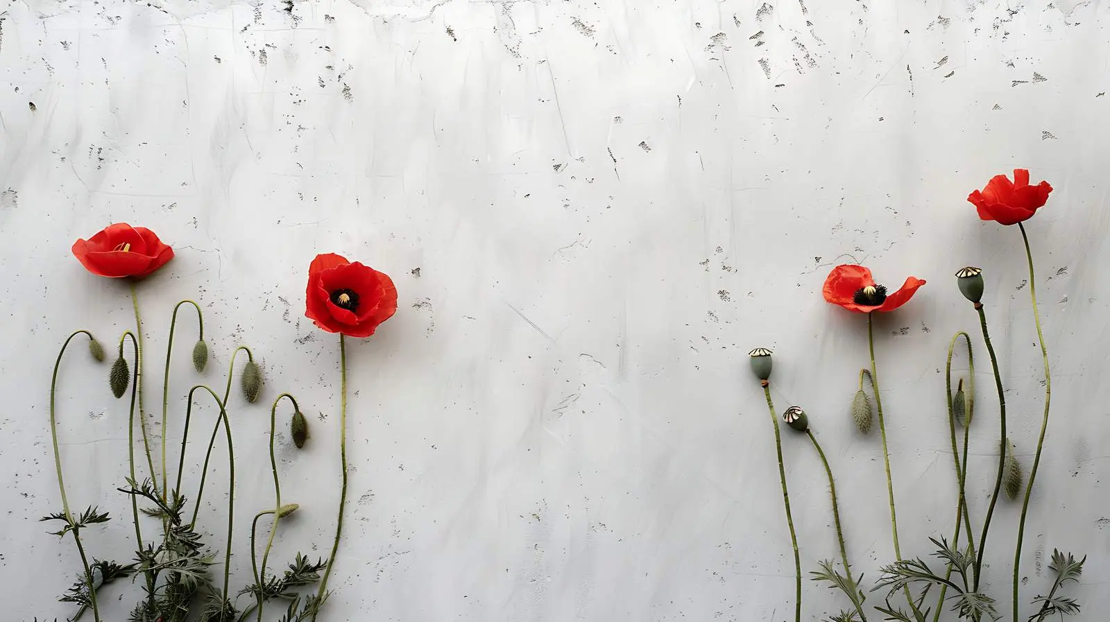 Poppy Stems Against Neutral Grey Wall — free download from Dotvec