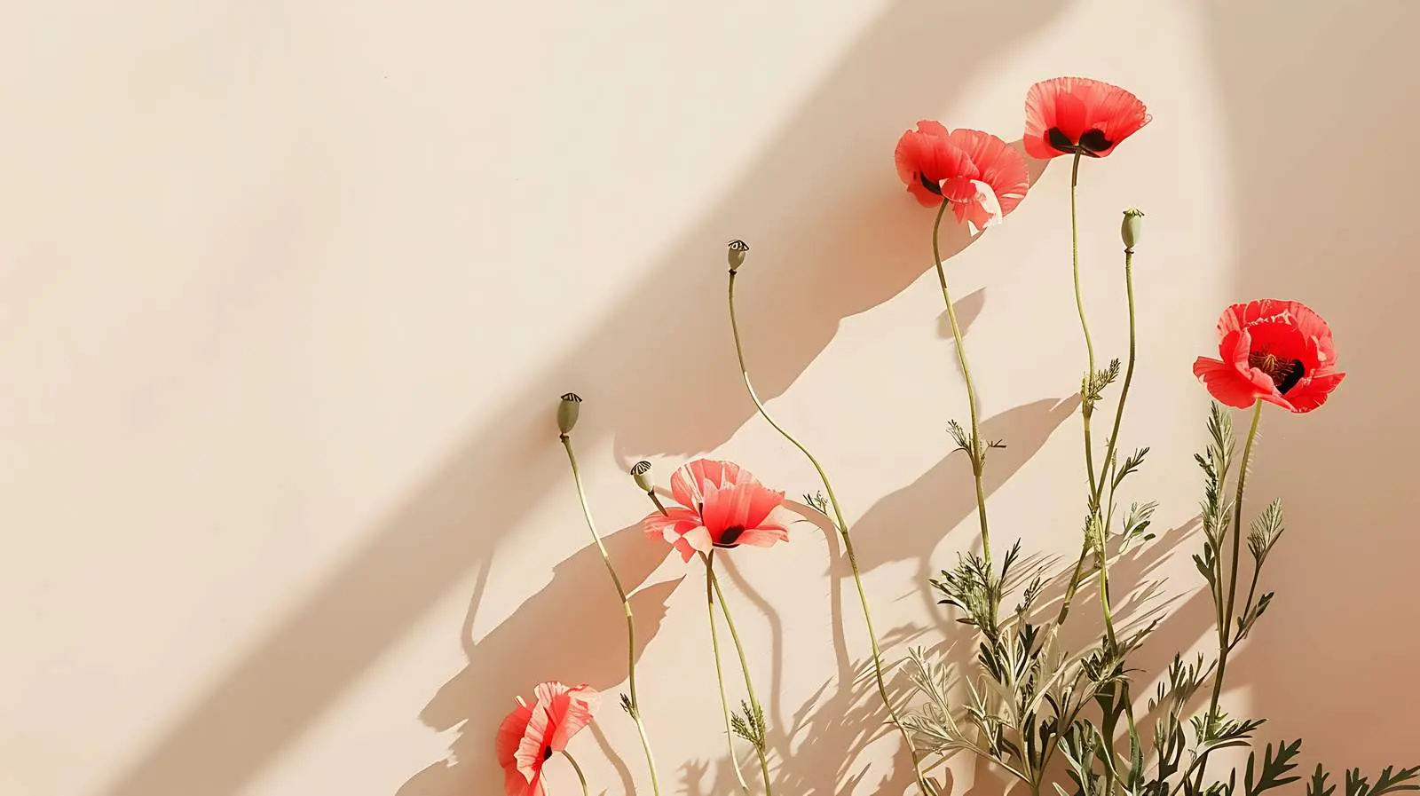 Poppy Stems Against Neutral Grey Wall – free subtle colors image from Dotvec