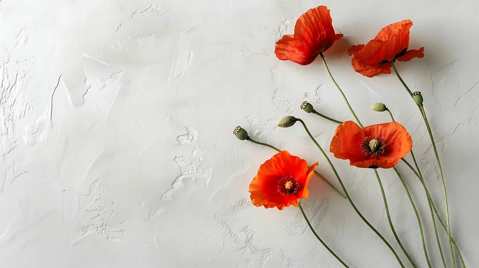 Poppy Stems Against Neutral Beige Wall — free download from Dotvec