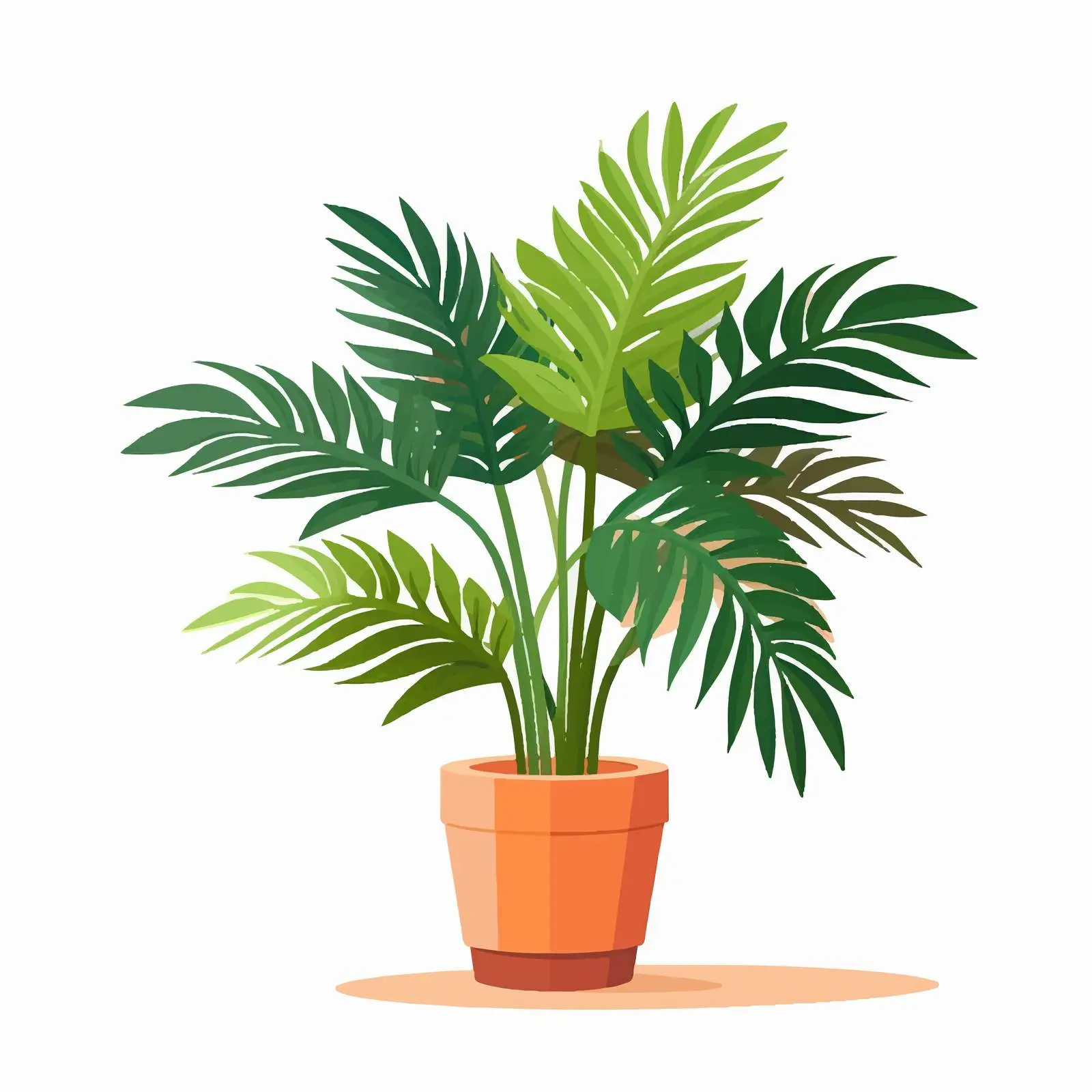 Indoor Potted Palm Tree in Stylish Planter — free download from Dotvec