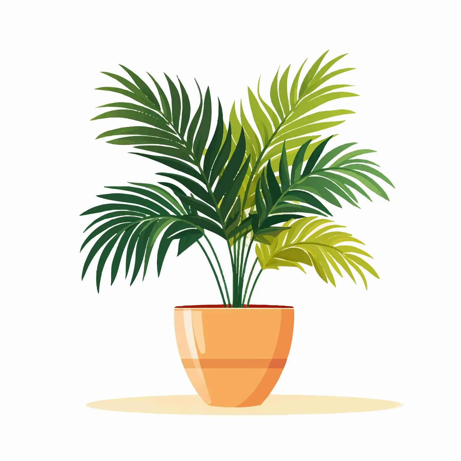 Indoor Potted Palm Tree in Modern Planter — free download from Dotvec