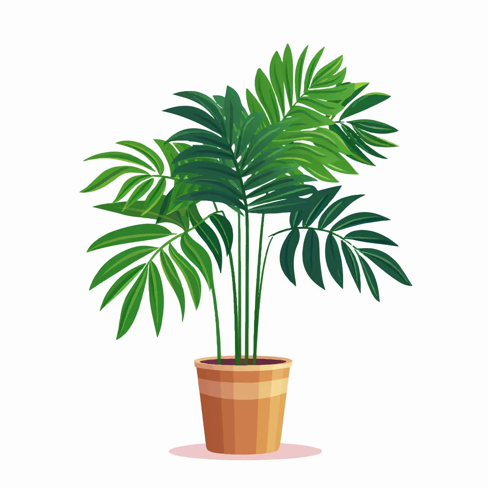 Tall Indoor Palm Tree in Planter — free download from Dotvec