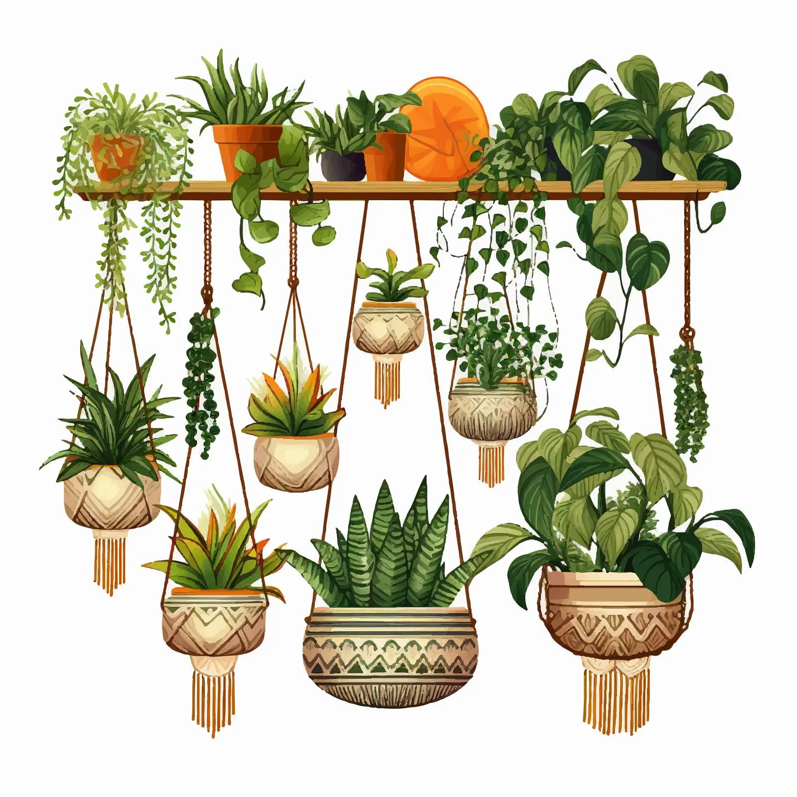 Modern Macrame and Potted Home Plant Decor – free tranquil environment image from Dotvec