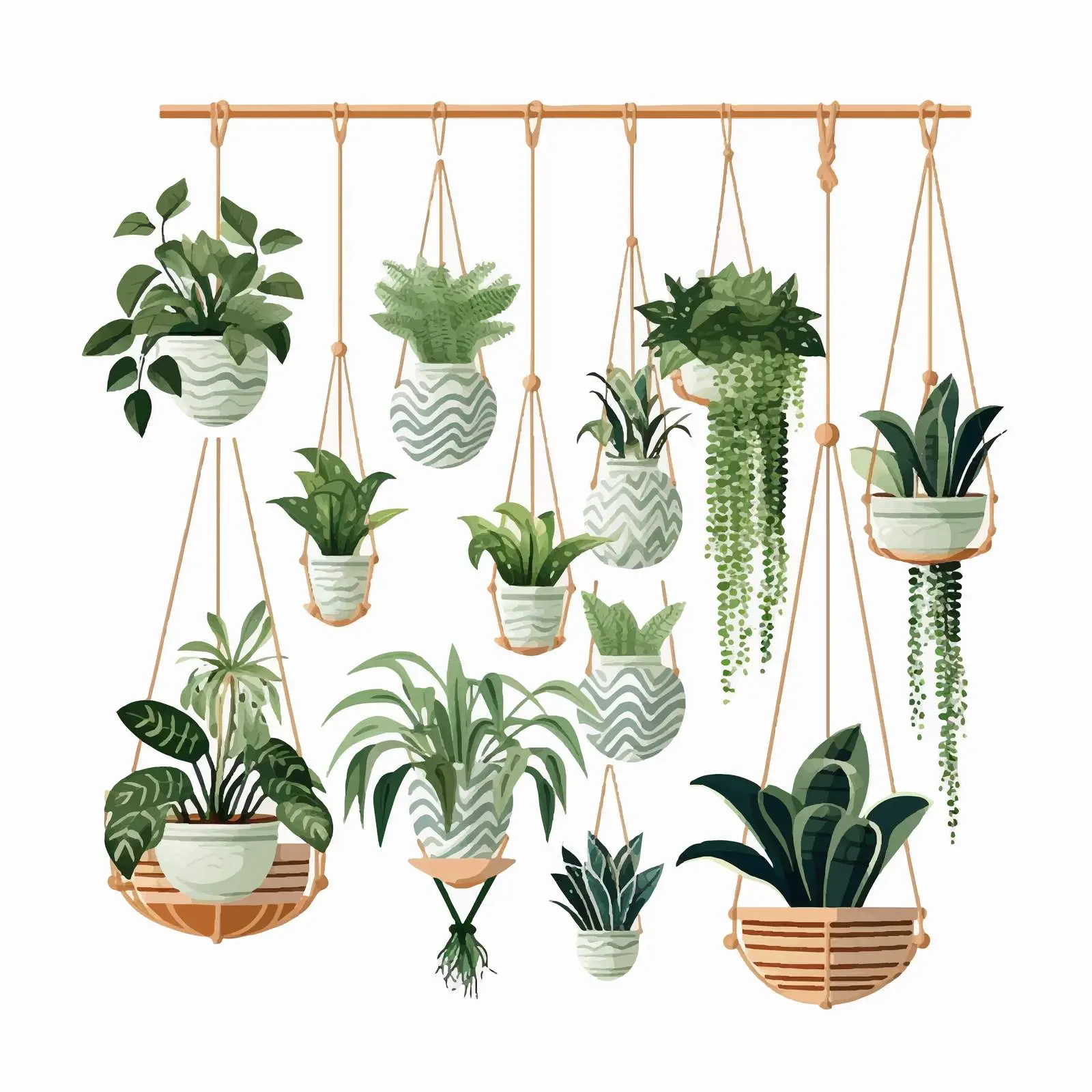 Modern Macrame and Potted Home Plants — free download from Dotvec