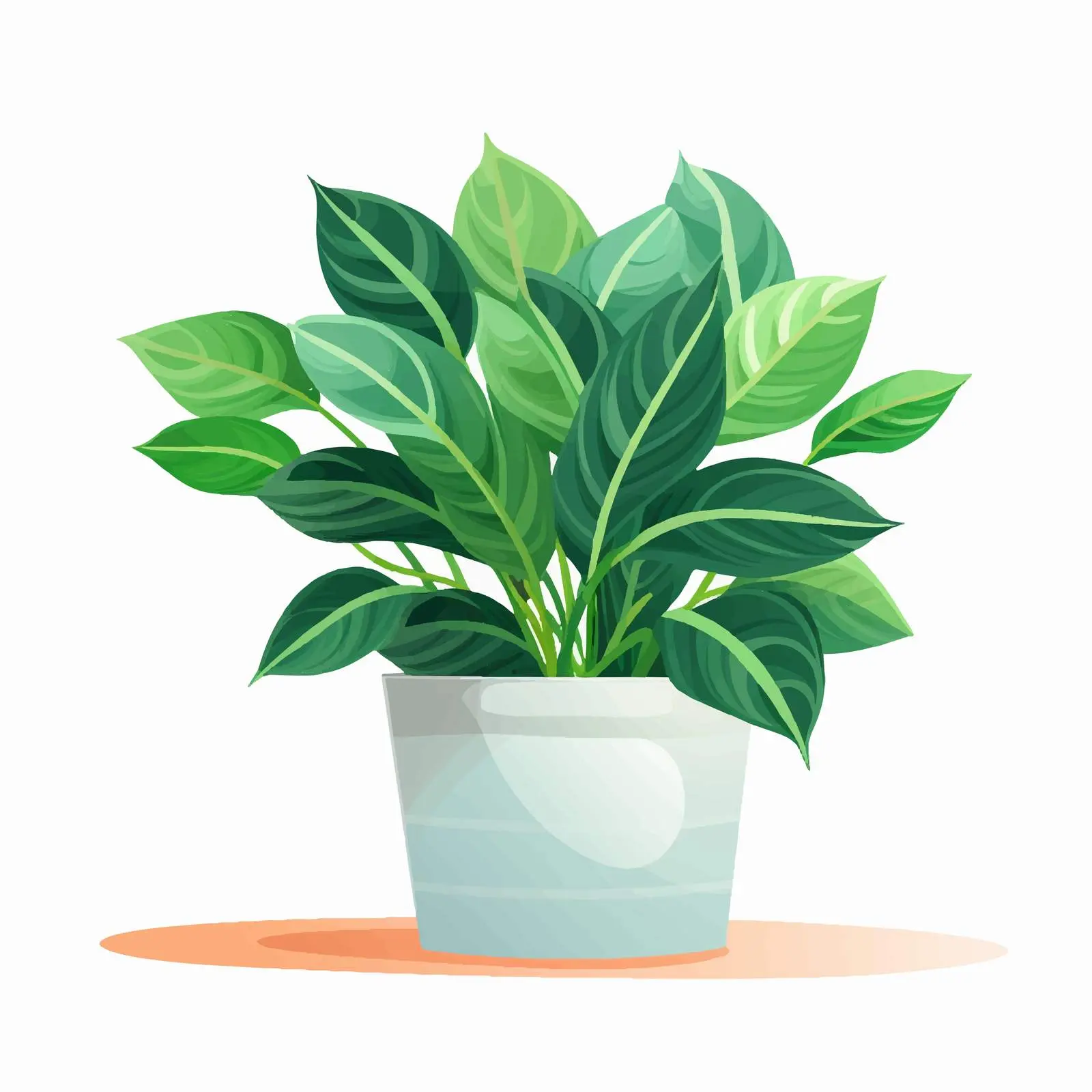 Vibrant Green Houseplant Growing in Pot — free download from Dotvec