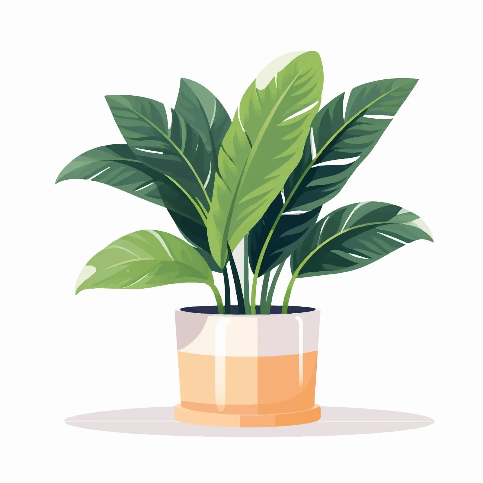 Green Leaf Houseplant in Modern Planter – free house plant care image from Dotvec