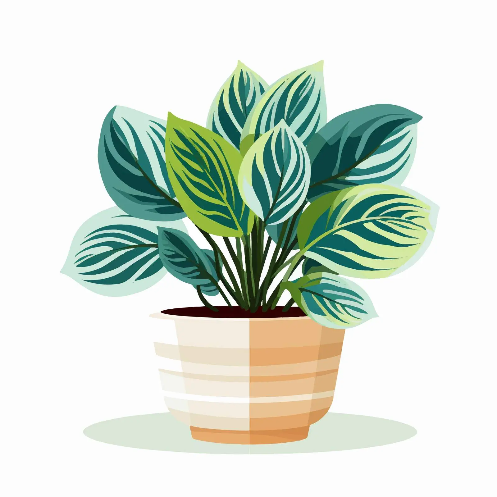 Potted House Plant with Variegated Leaves — free download from Dotvec