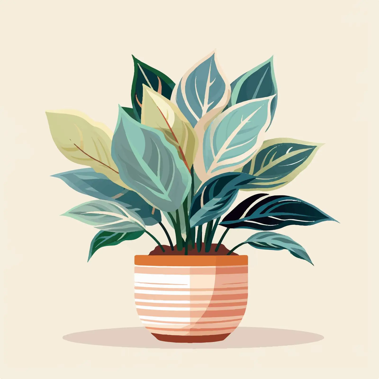 Variegated Leaf Houseplant in Decorative Pot – free household plants image from Dotvec