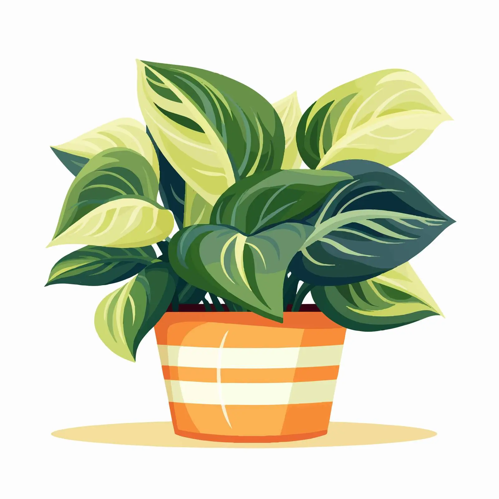 Variegated Leaf House Plant in Pot — free download from Dotvec