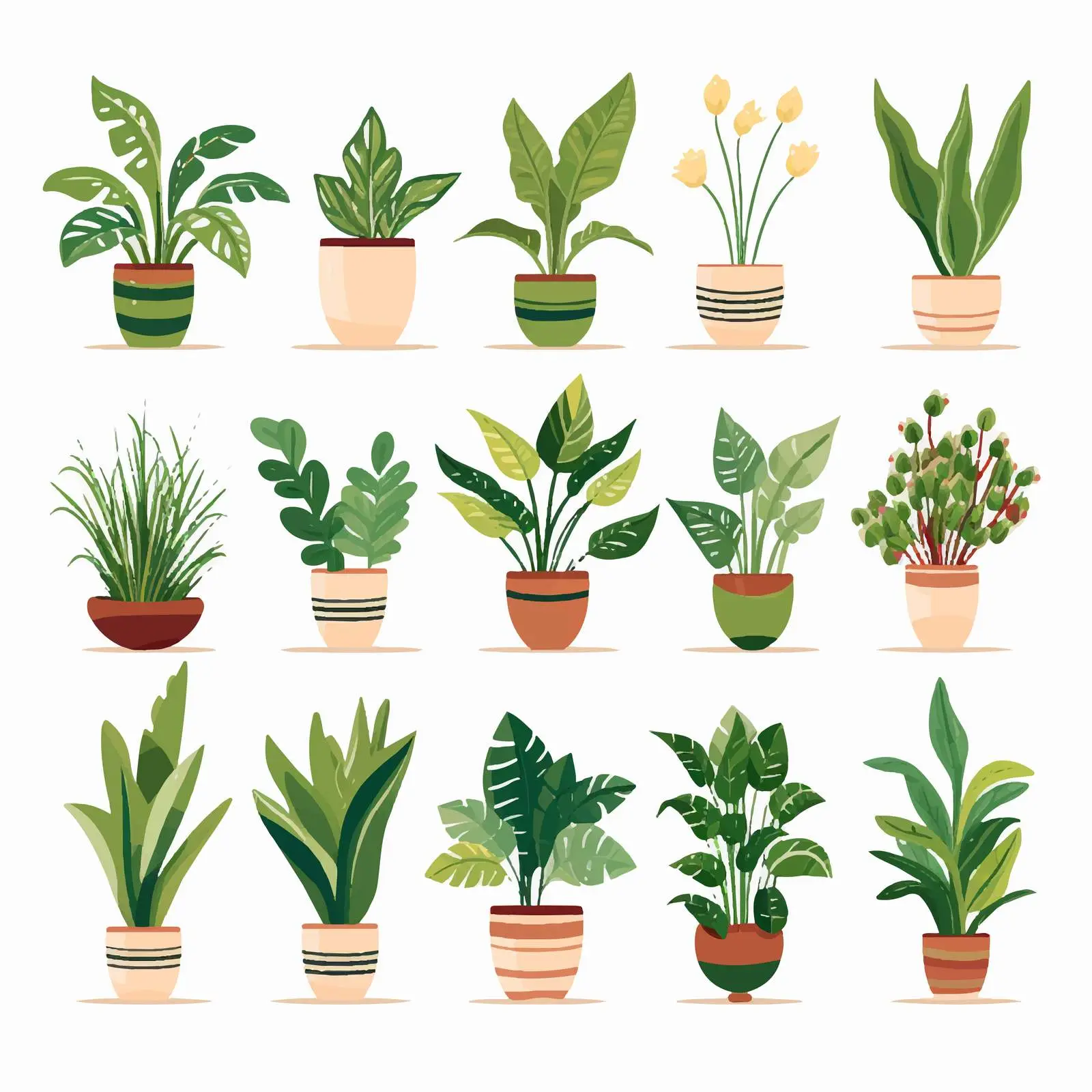 Set of Potted Houseplants in Stylish Planters — free download from Dotvec