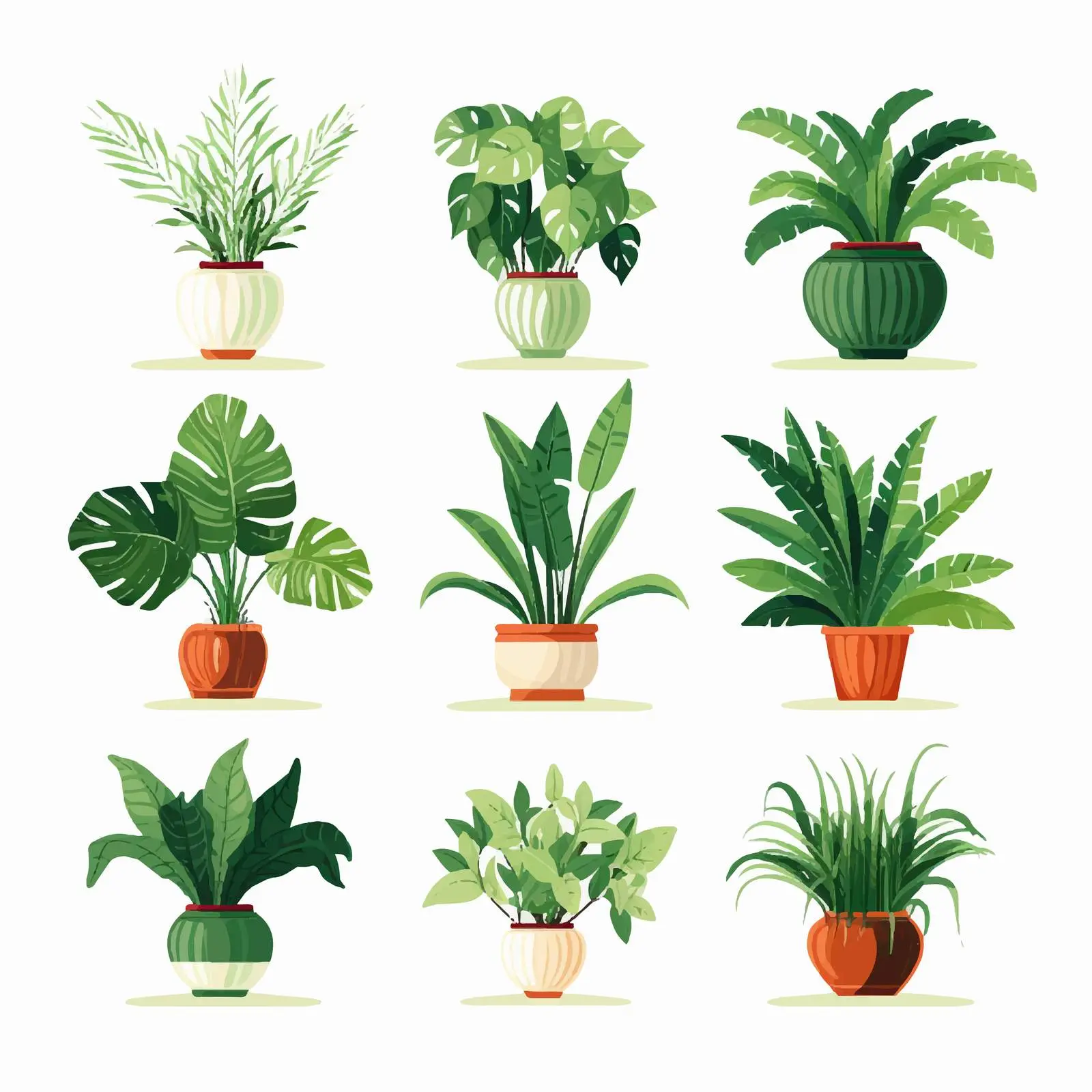 Houseplants Growing in Decorative Planters — free download from Dotvec