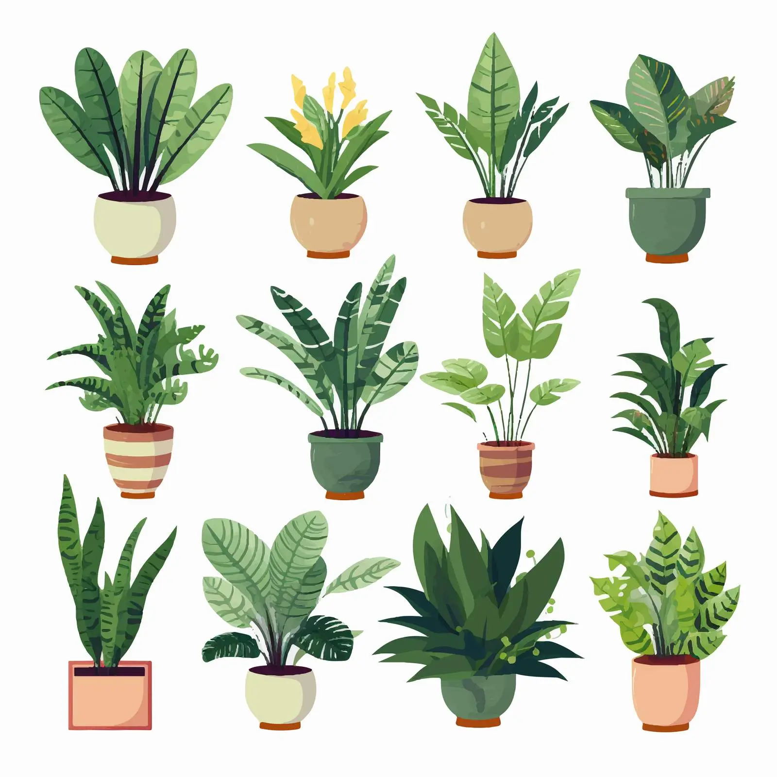 Houseplants Set in Decorative Planters – free house plant care image from Dotvec