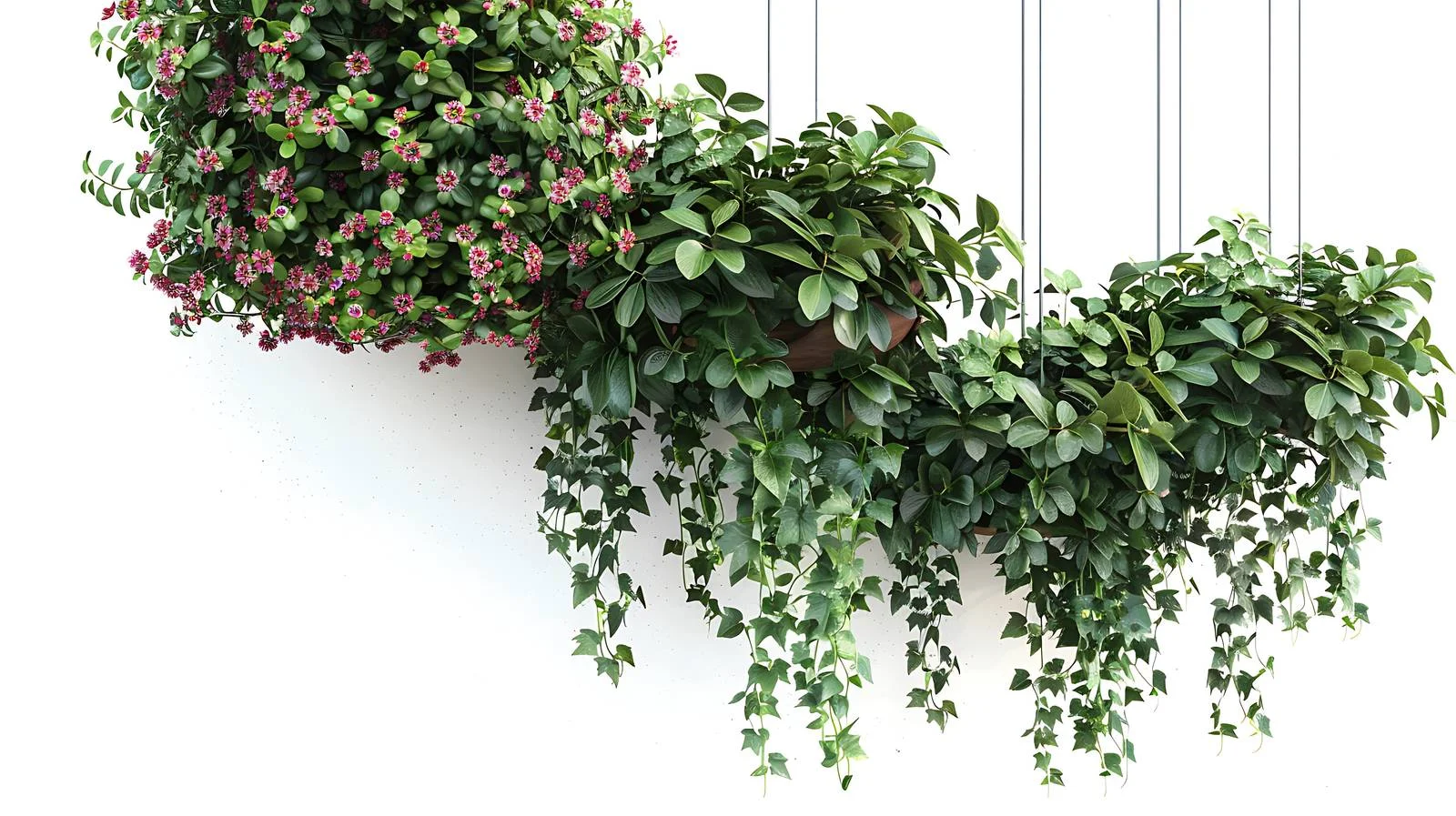 Lush Potted Plants Cascading on Wall — free download from Dotvec