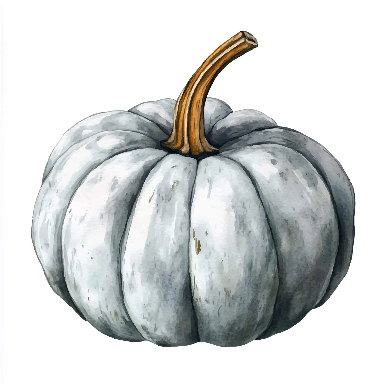 Gray Hand-Drawn Watercolor Pumpkin Illustration – free name image from Dotvec