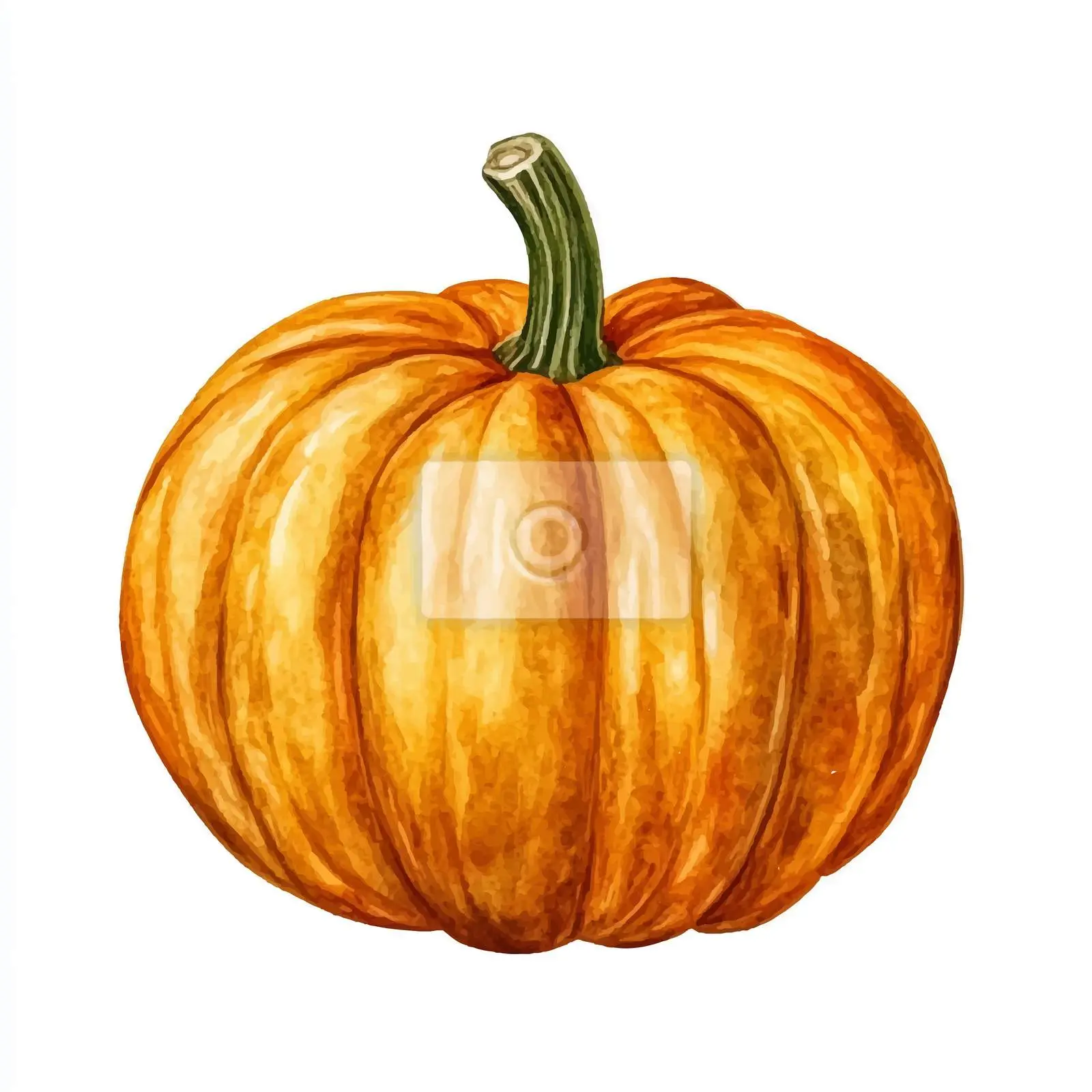 Hand-Painted Watercolor Pumpkin for Halloween — free download from Dotvec