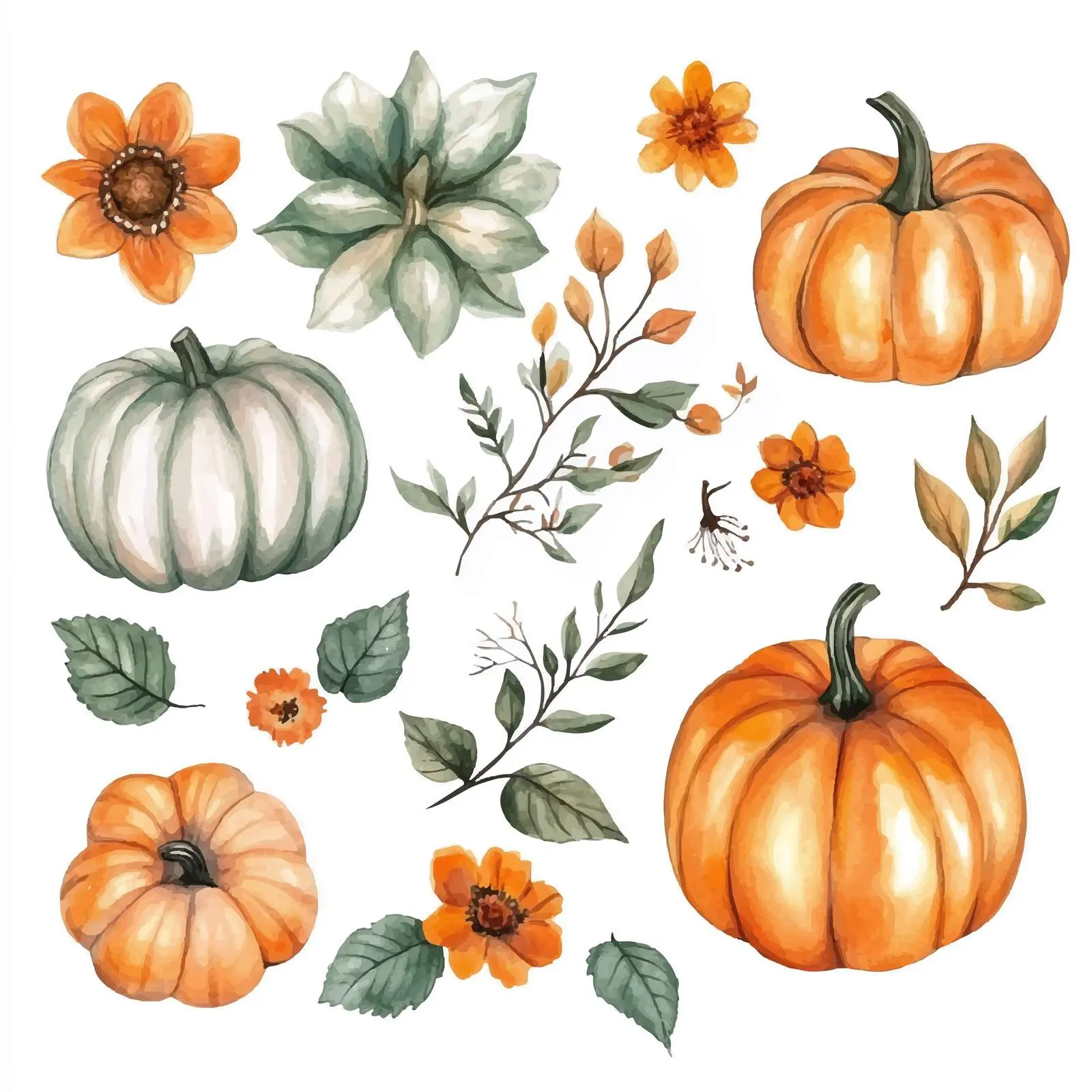 Watercolor Pumpkins and Flowers Clipart Design — free download from Dotvec