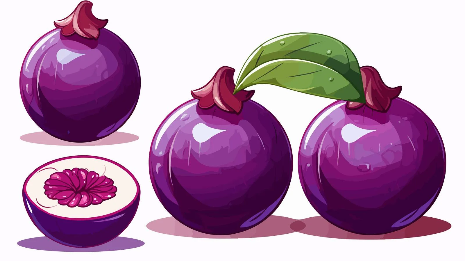 Purple Mangosteen Tropical Fruit Vector Illustration — free download from Dotvec